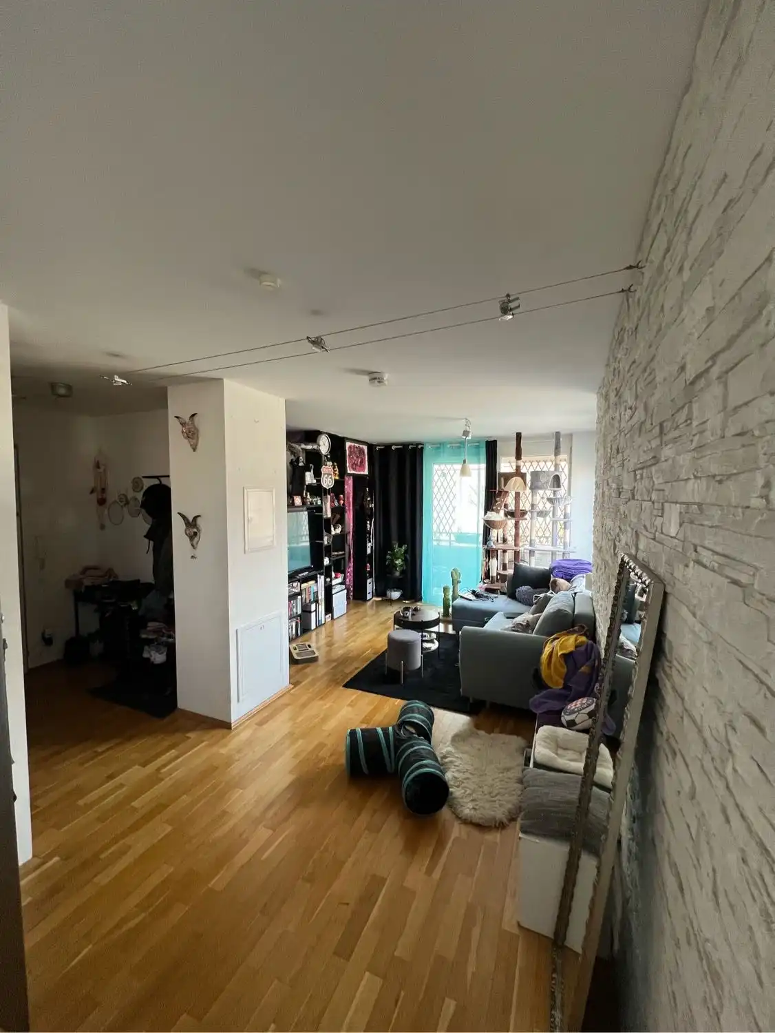 image-7
