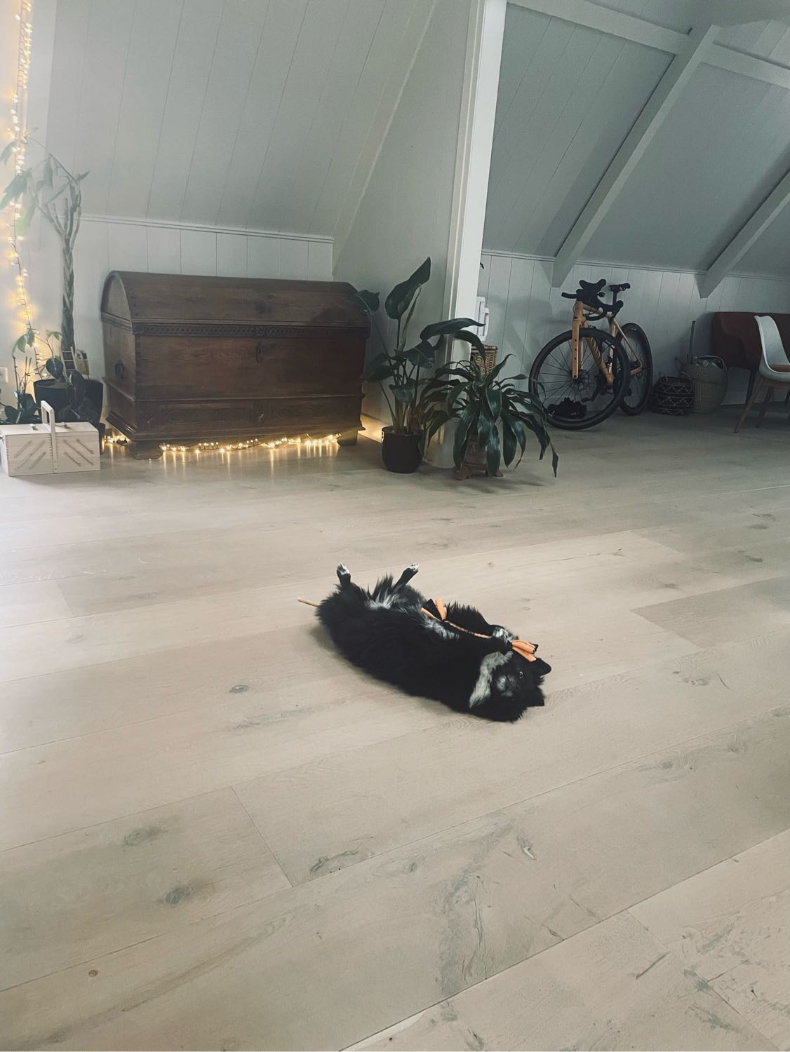 image-9