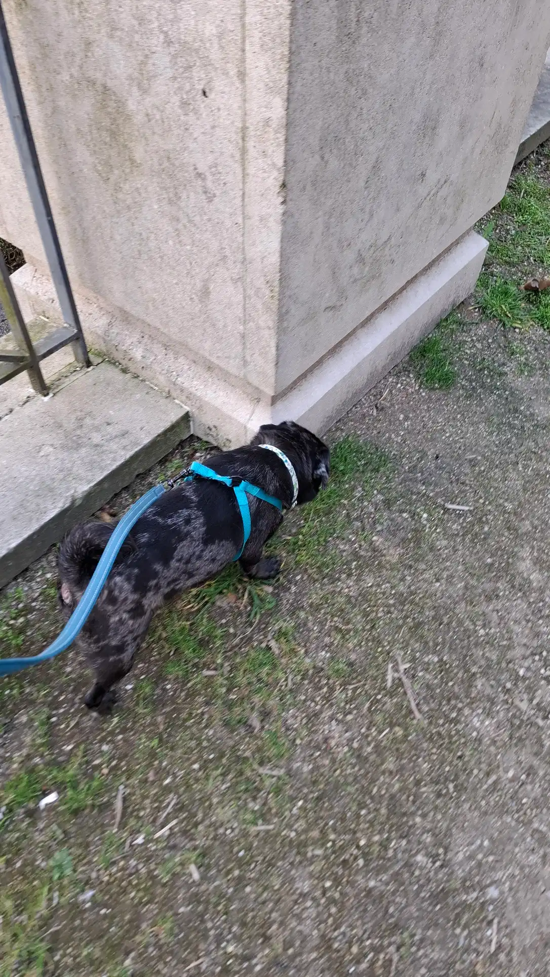 image-10
