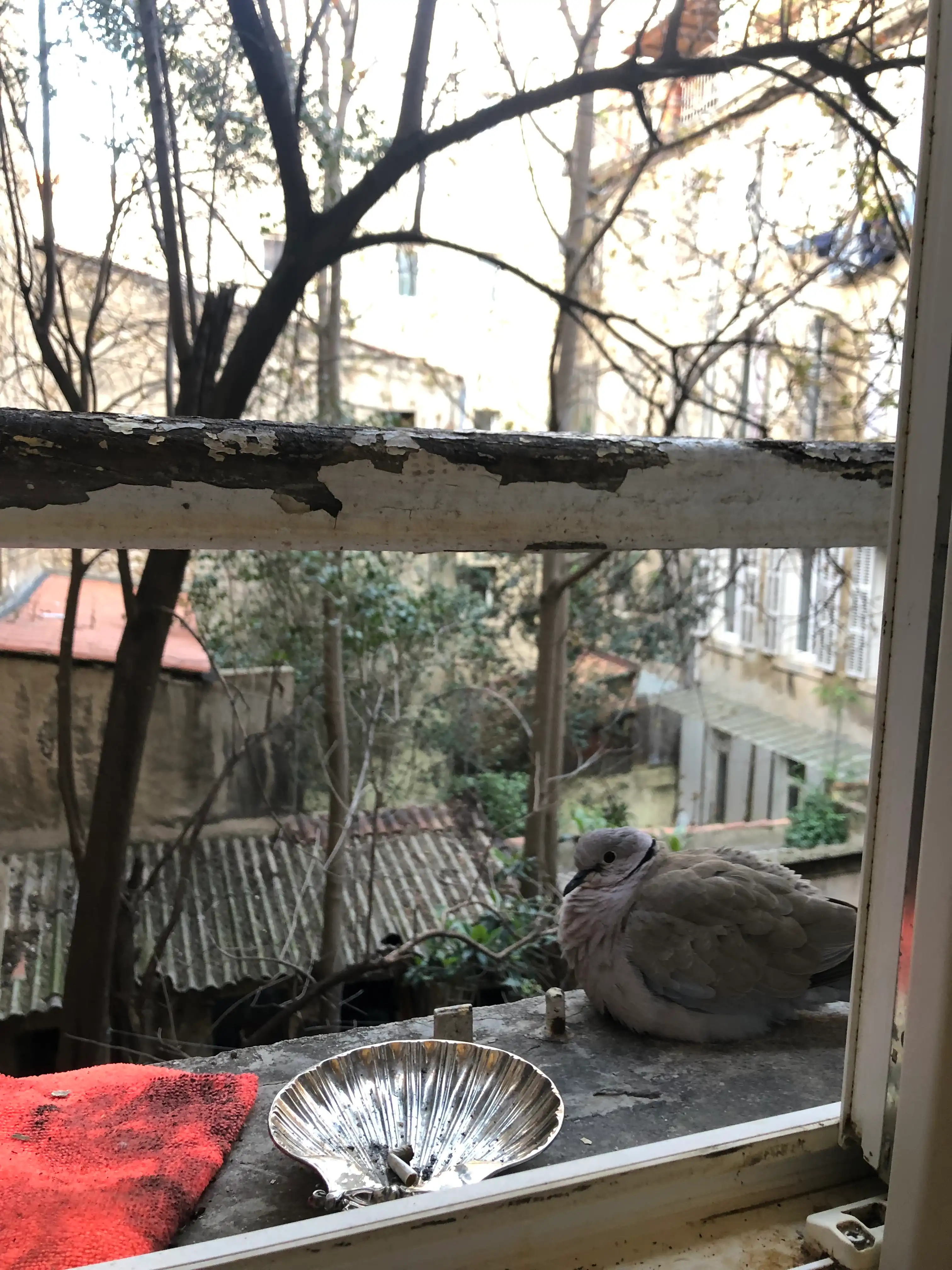image-9