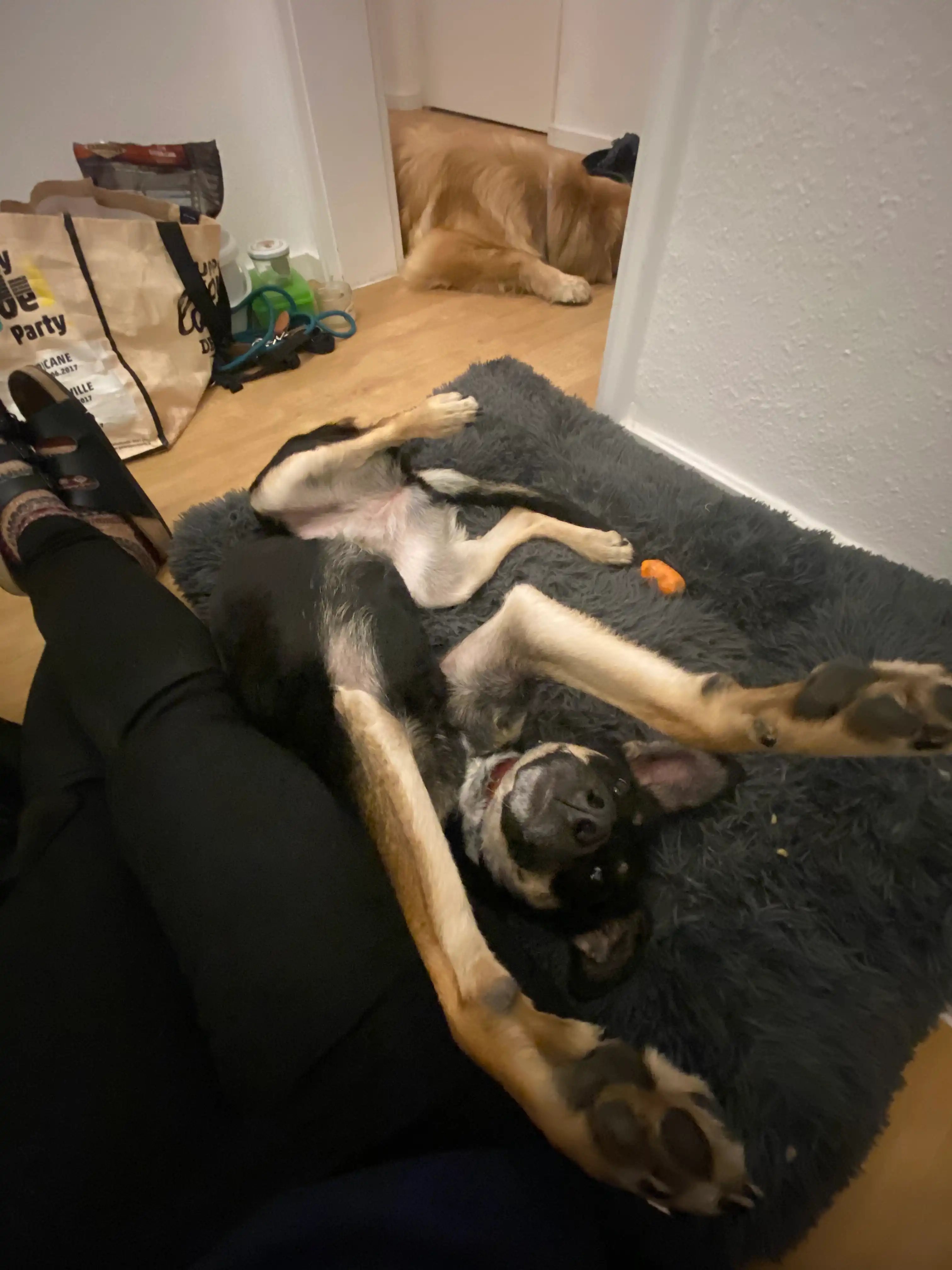 image-6
