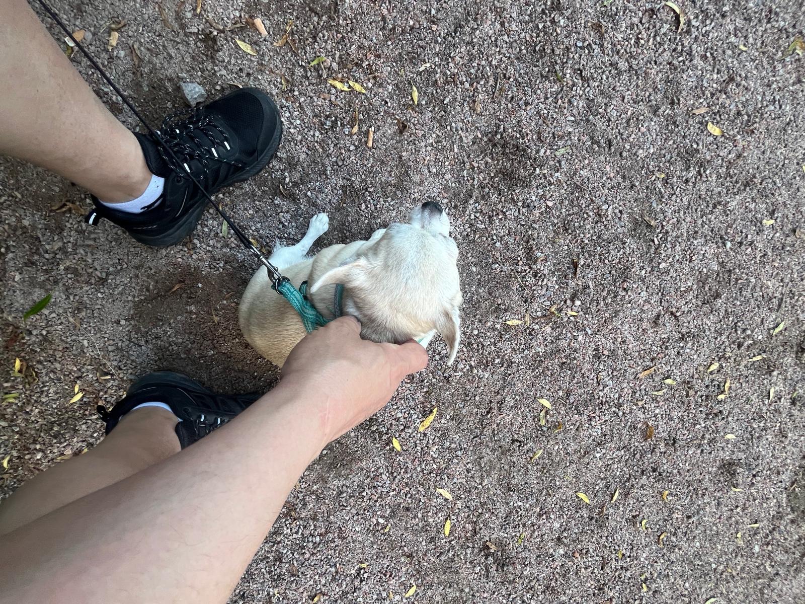 image-8