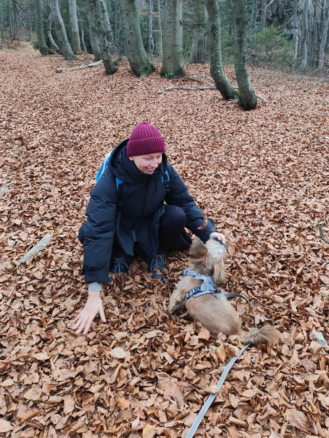 image-4
