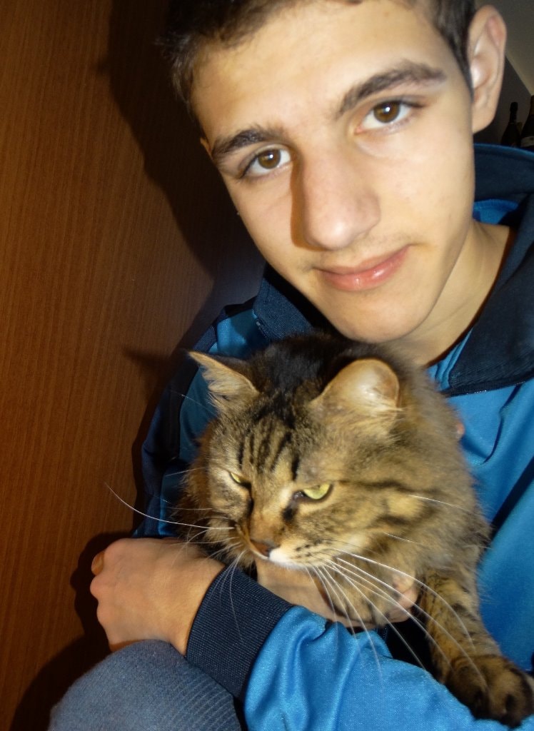 image-11
