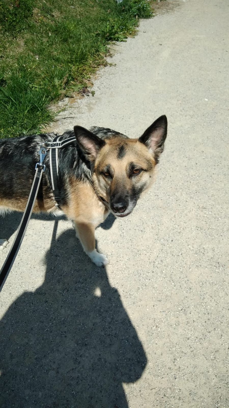 image-6