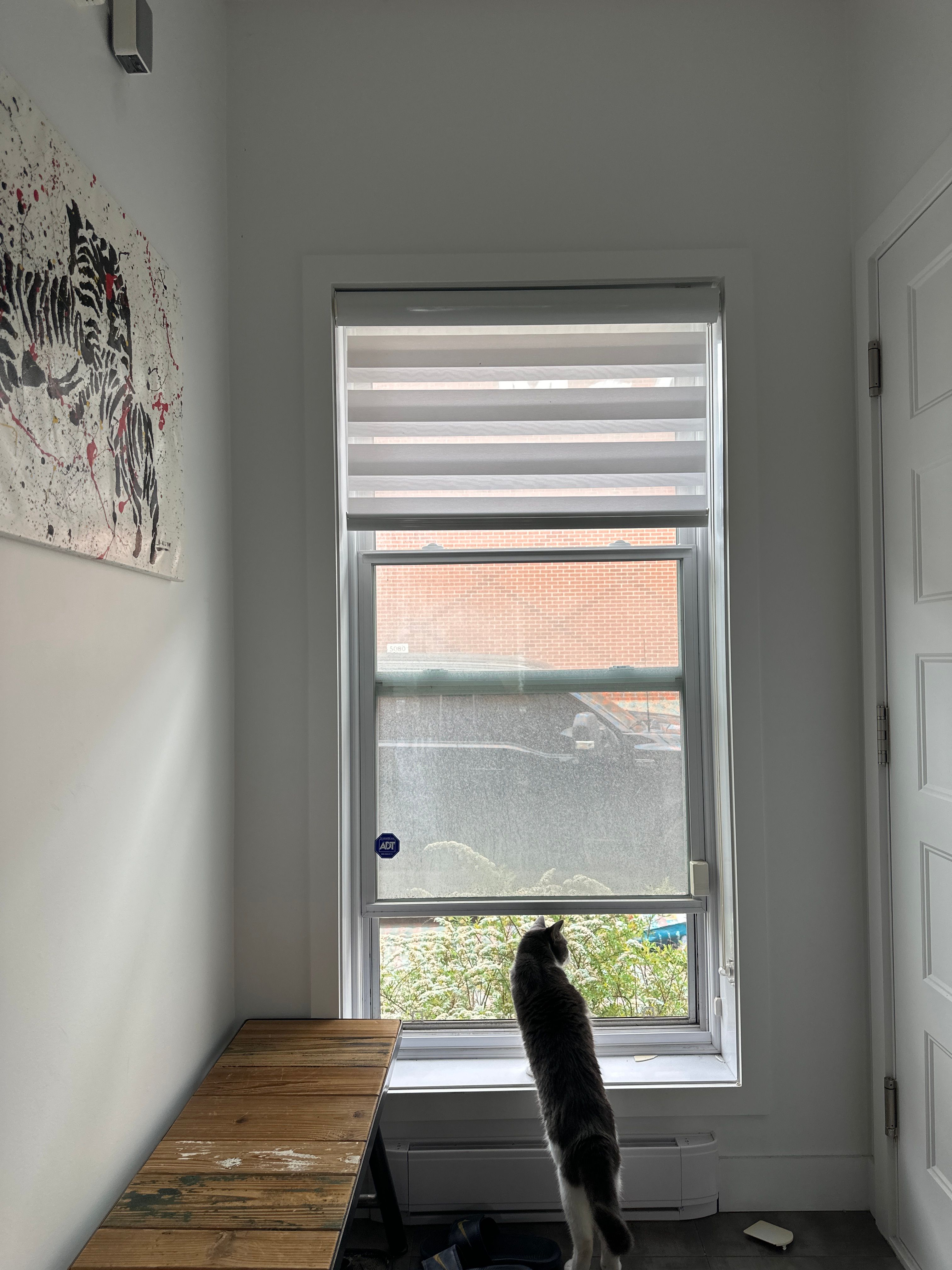 image-18