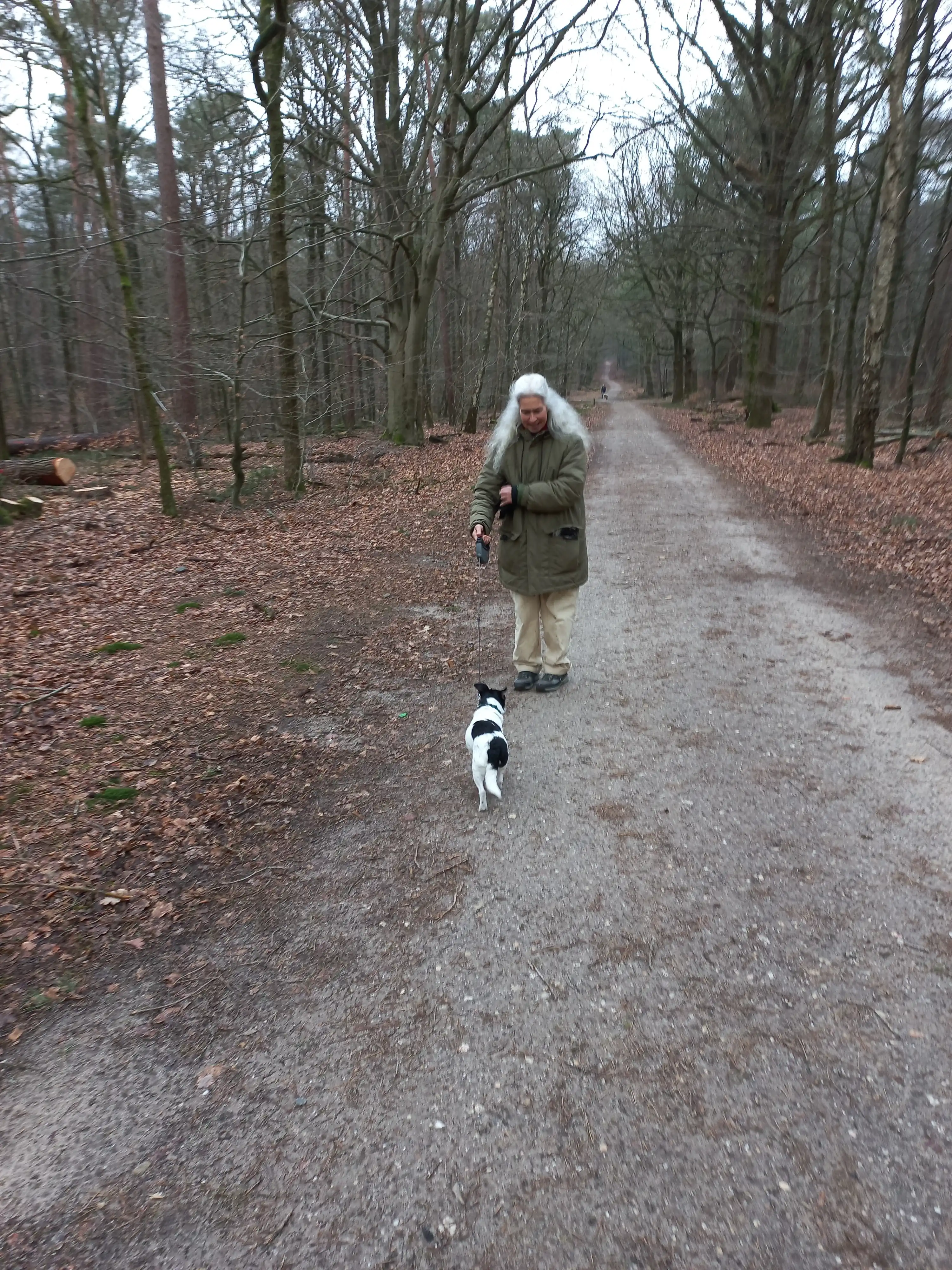 image-5