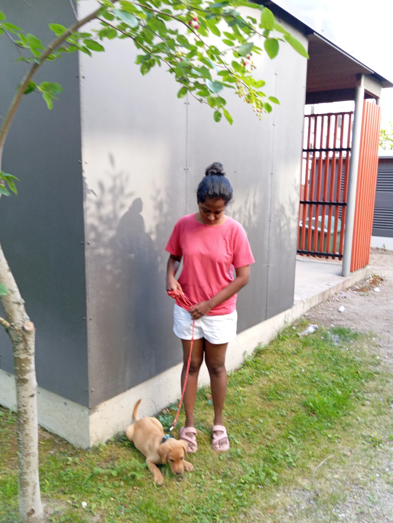 image-13