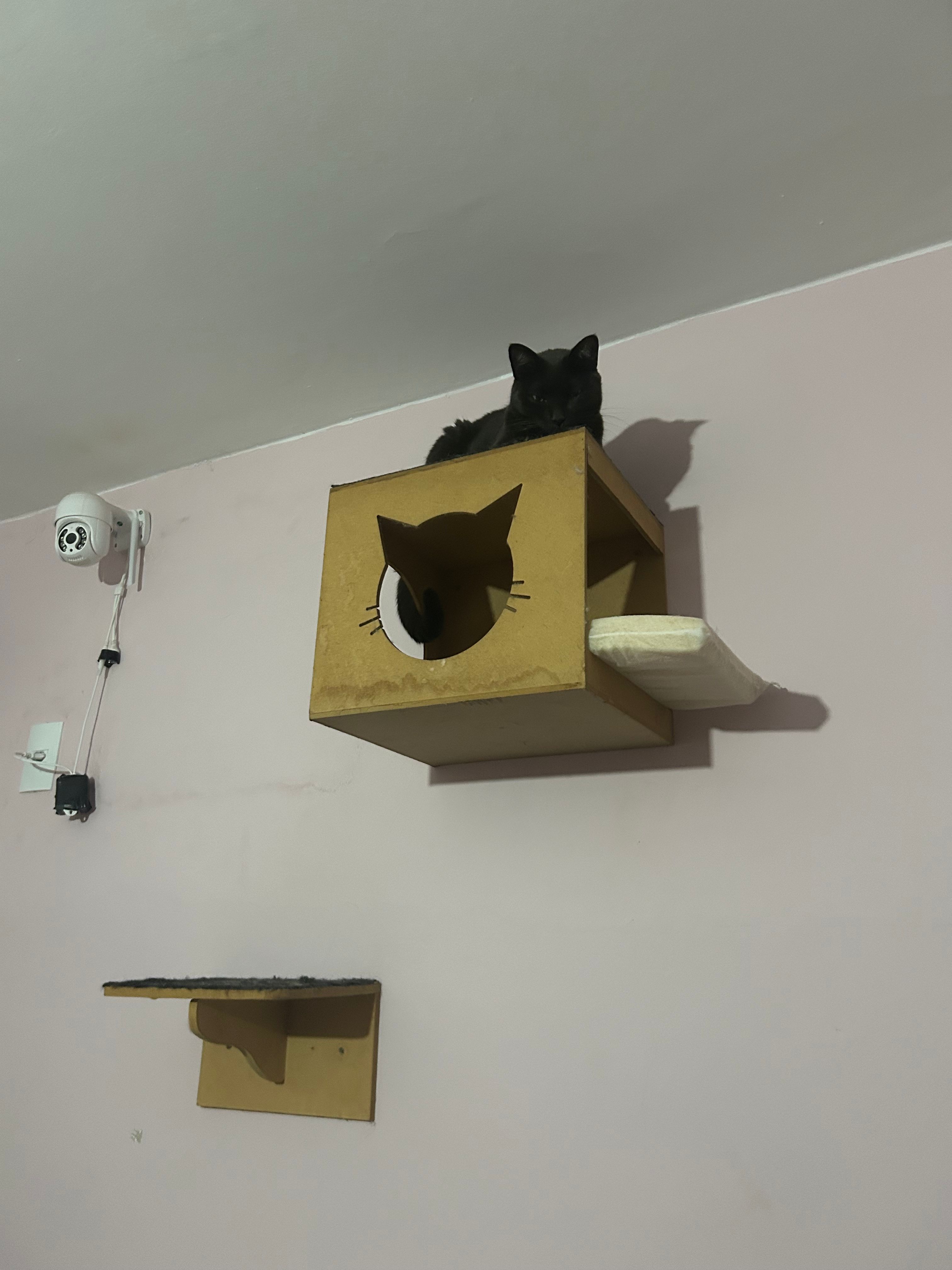image-18