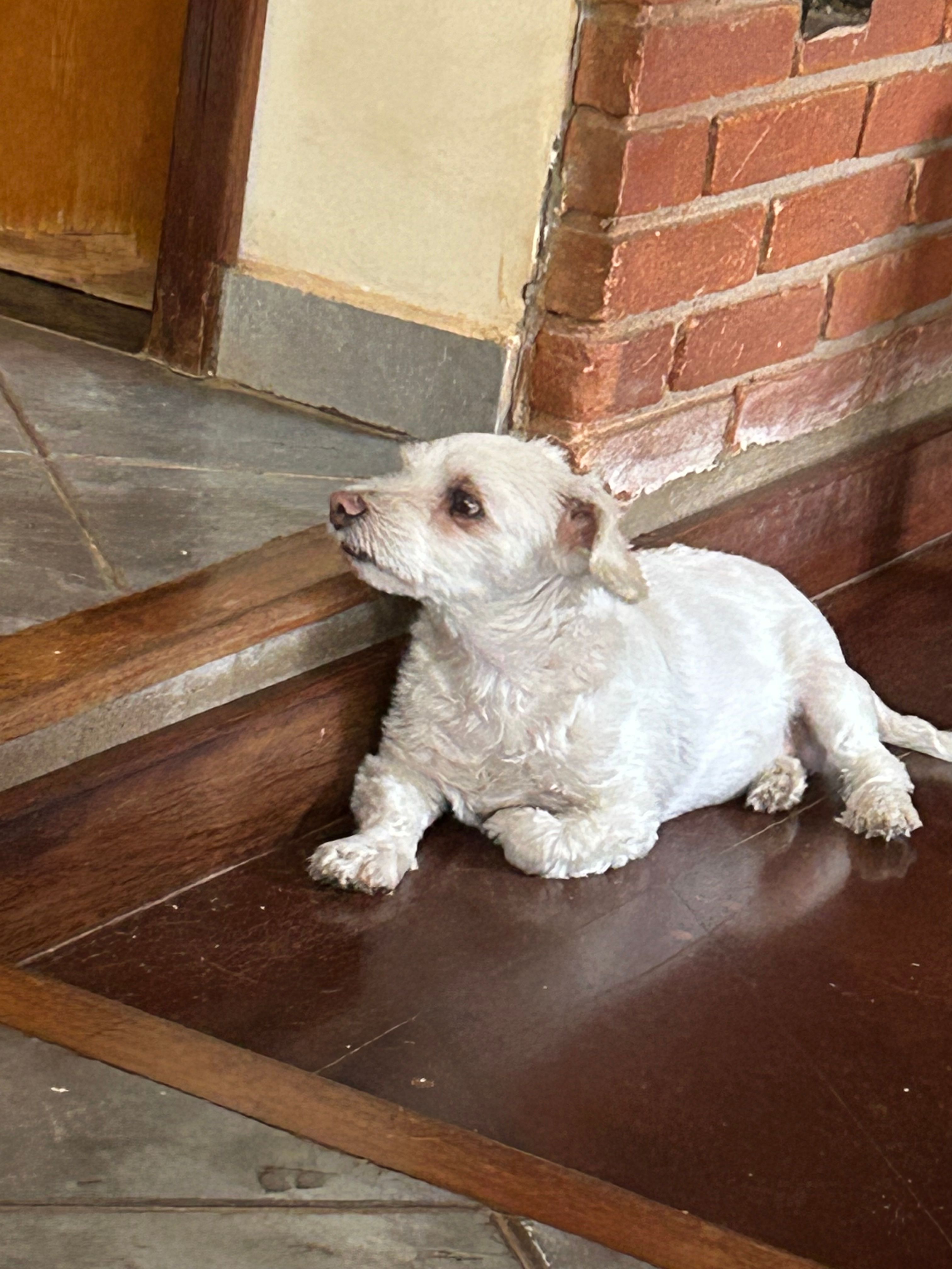 image-17