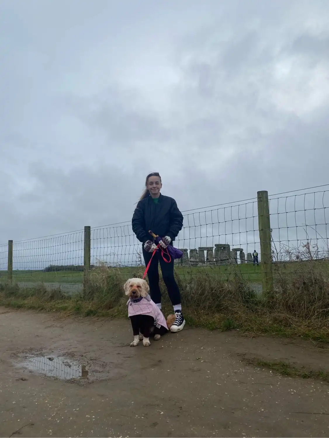 image-6