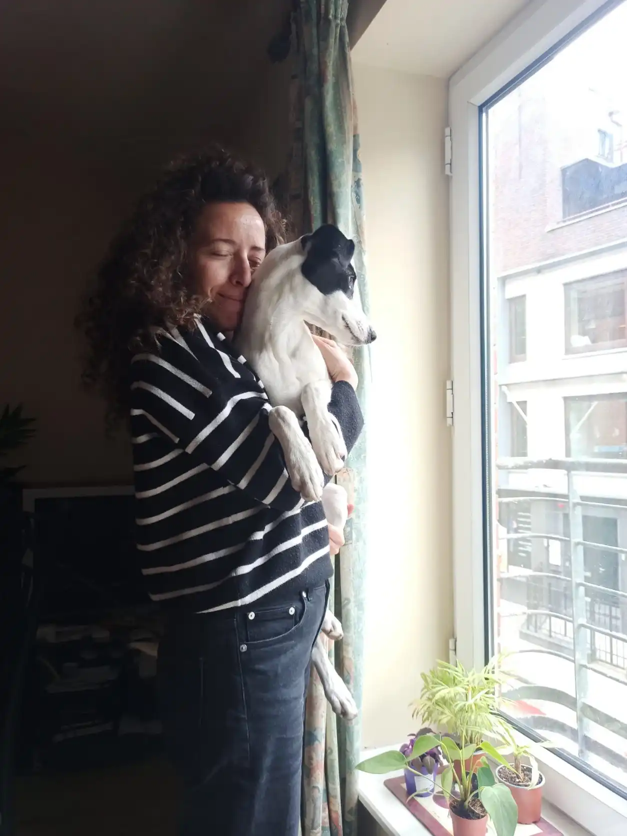 image-8