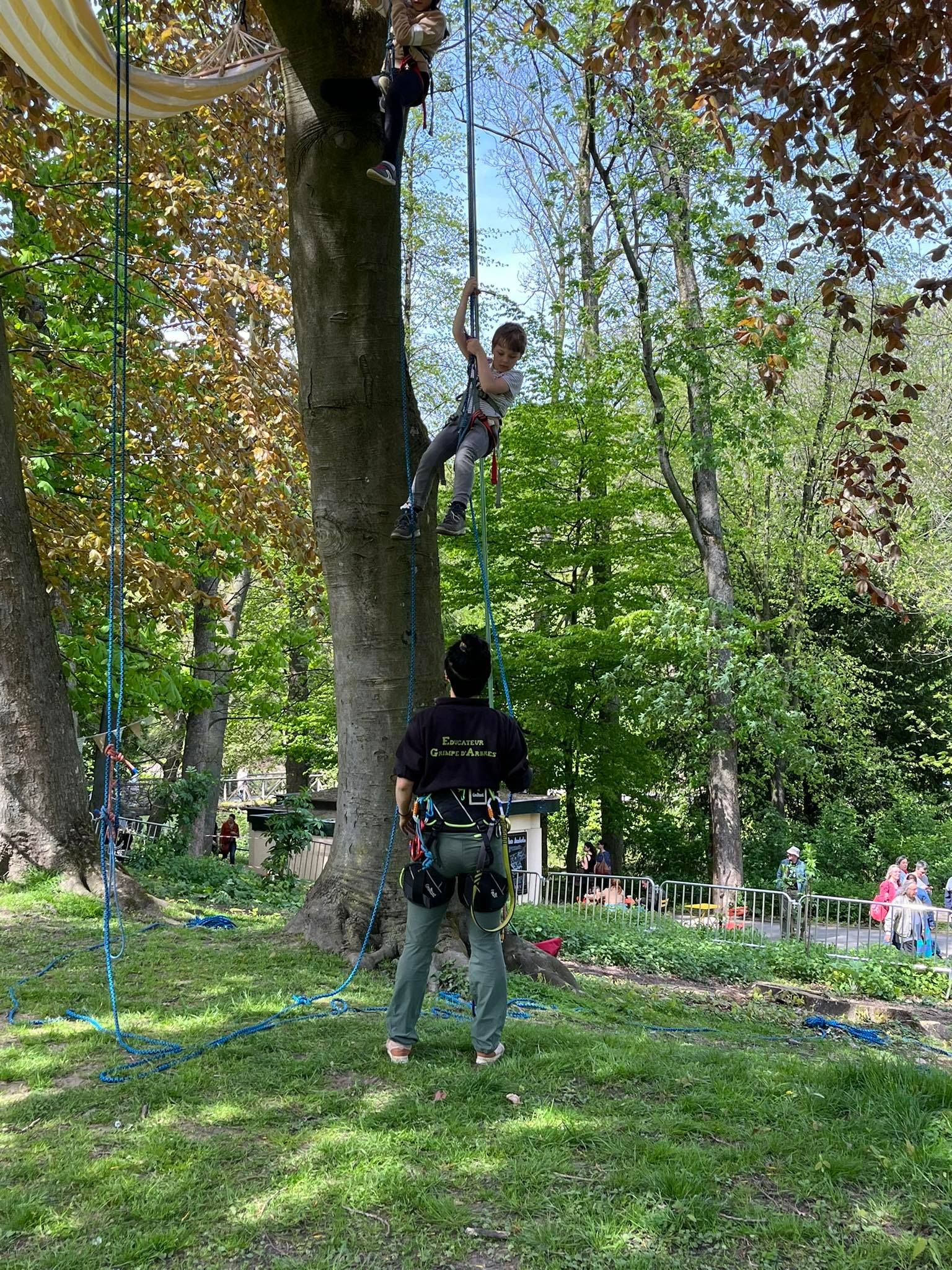 image-5