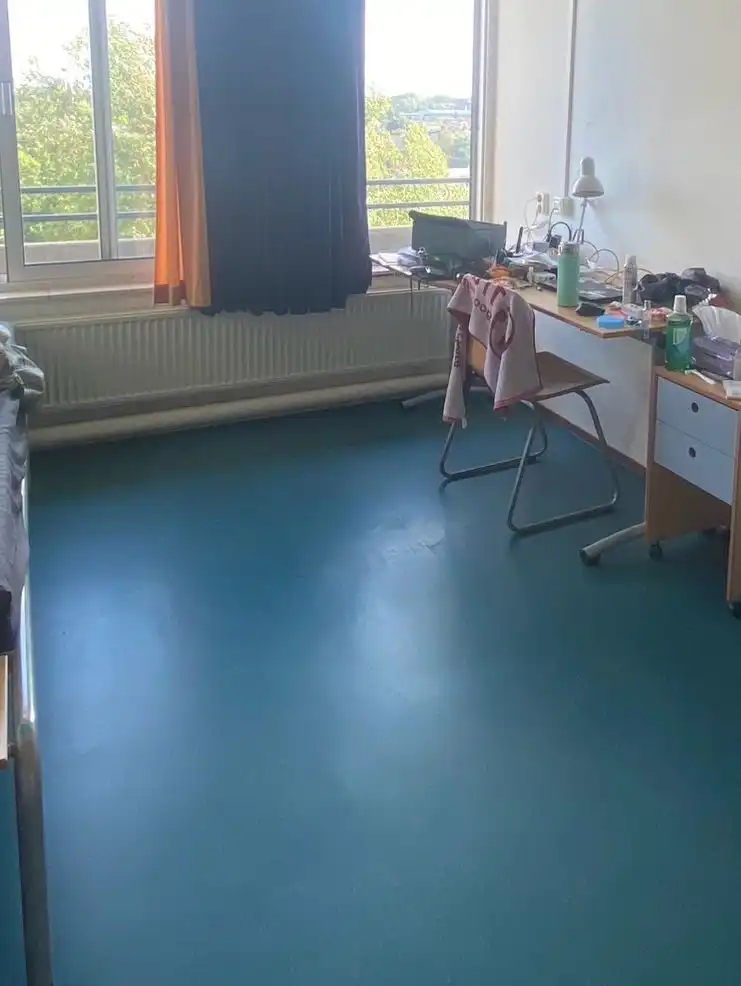 image-5