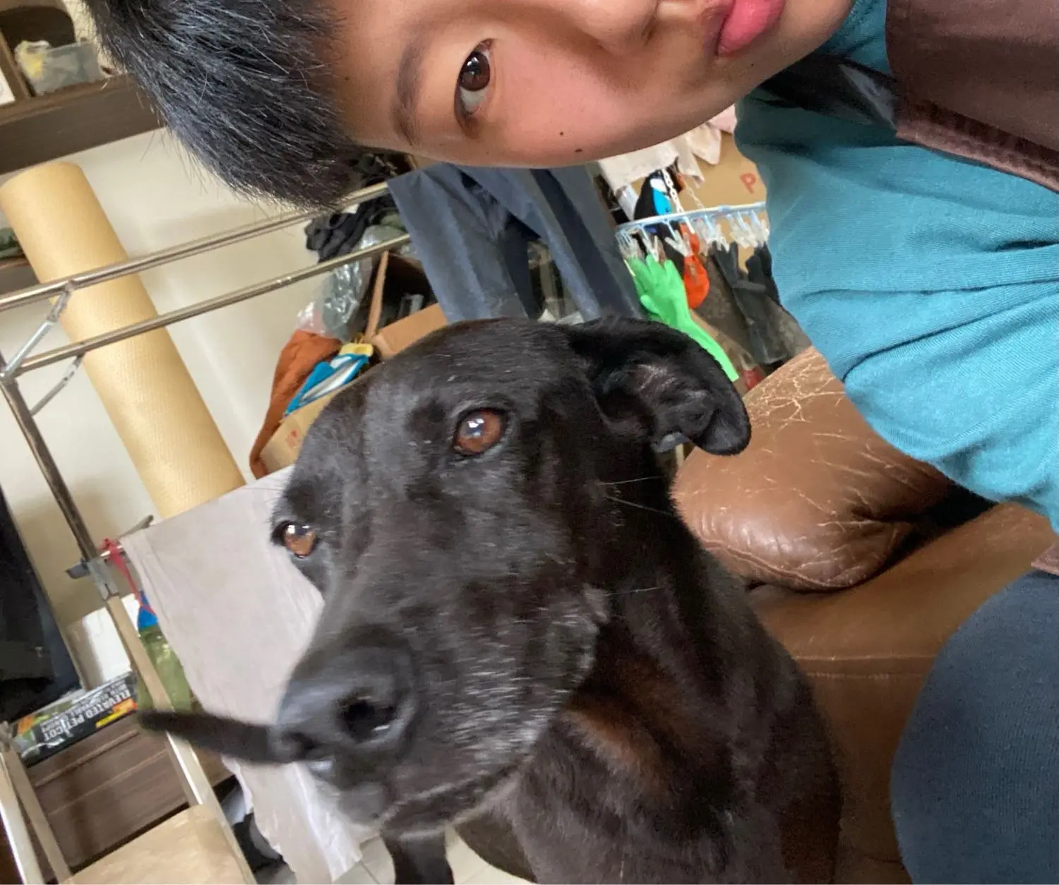image-3