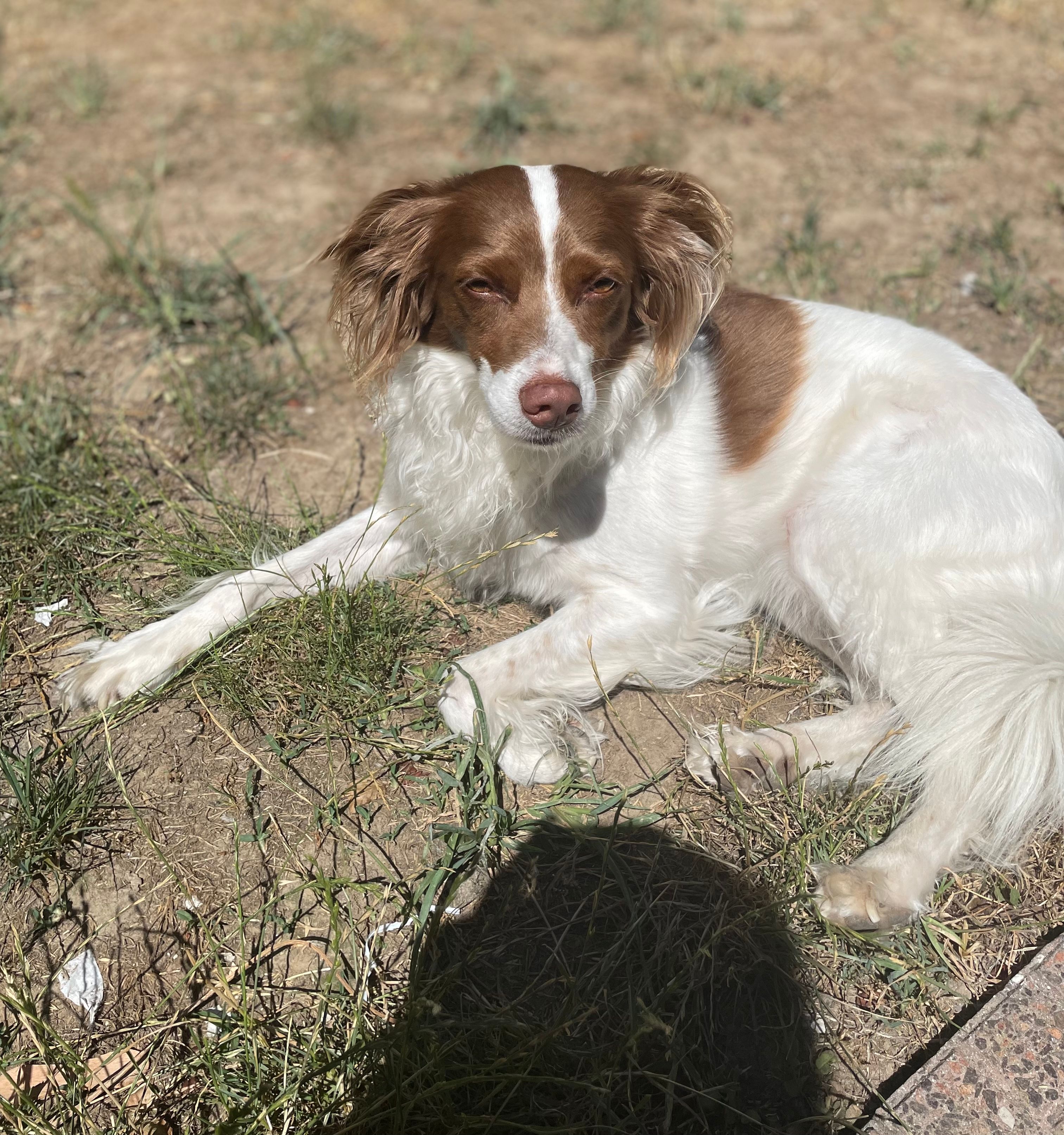 image-6