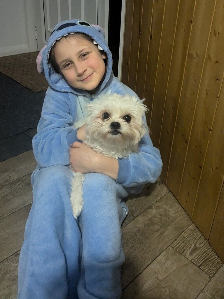image-6