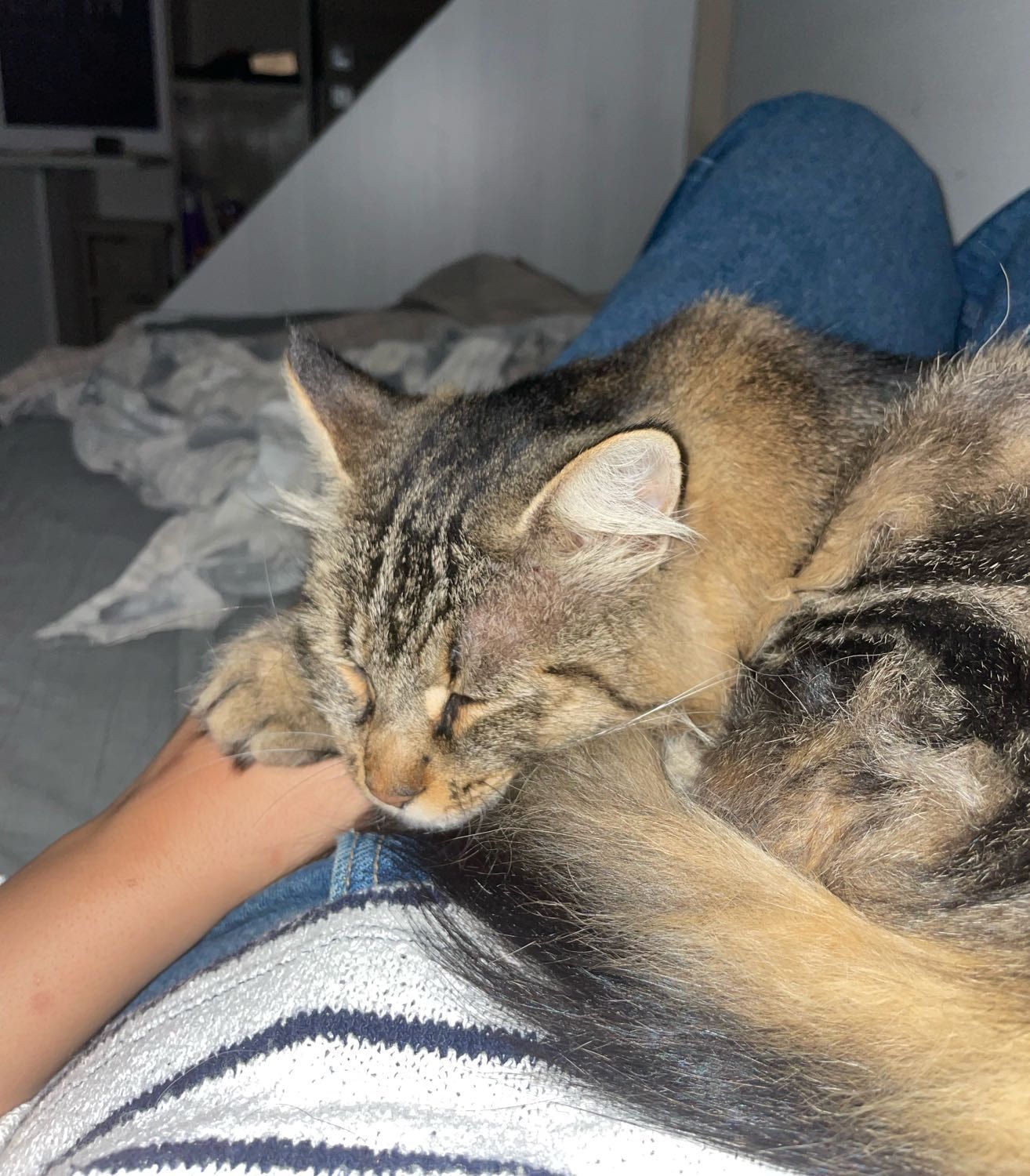 image-5