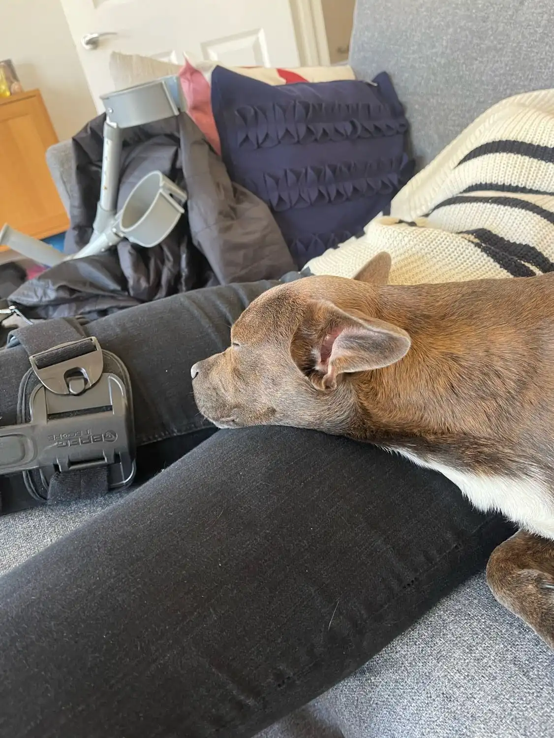 image-7