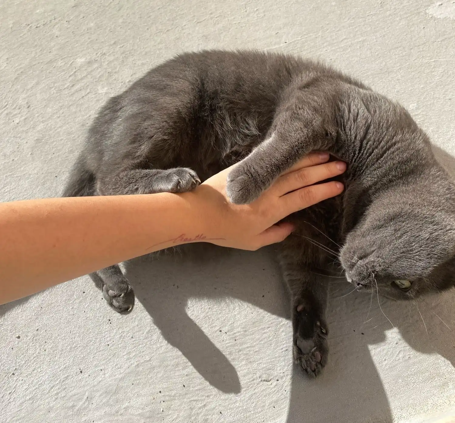 image-8
