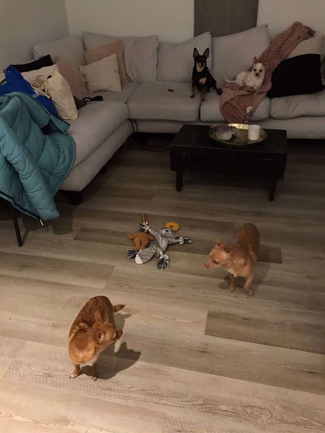image-18