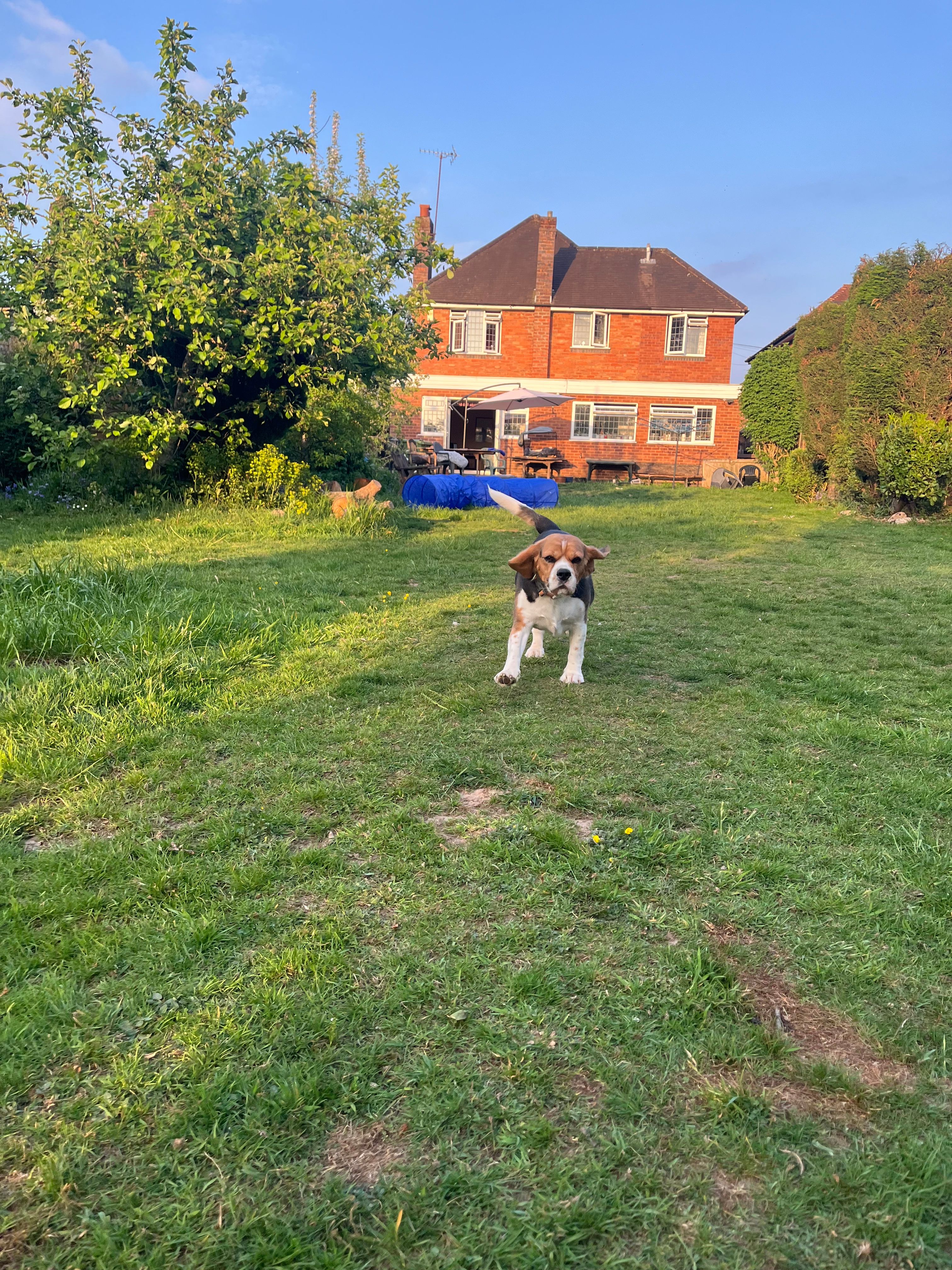image-18