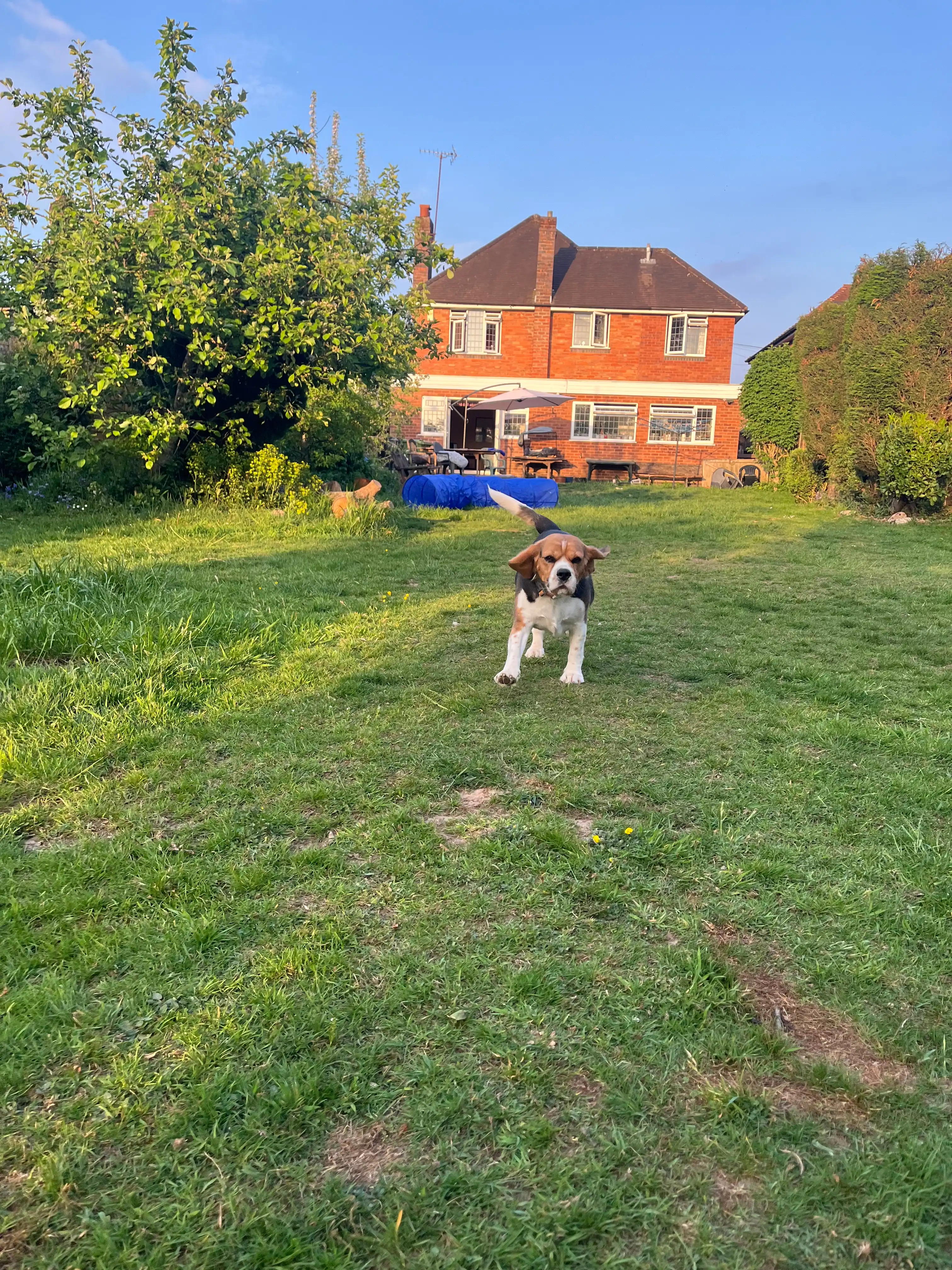 image-18