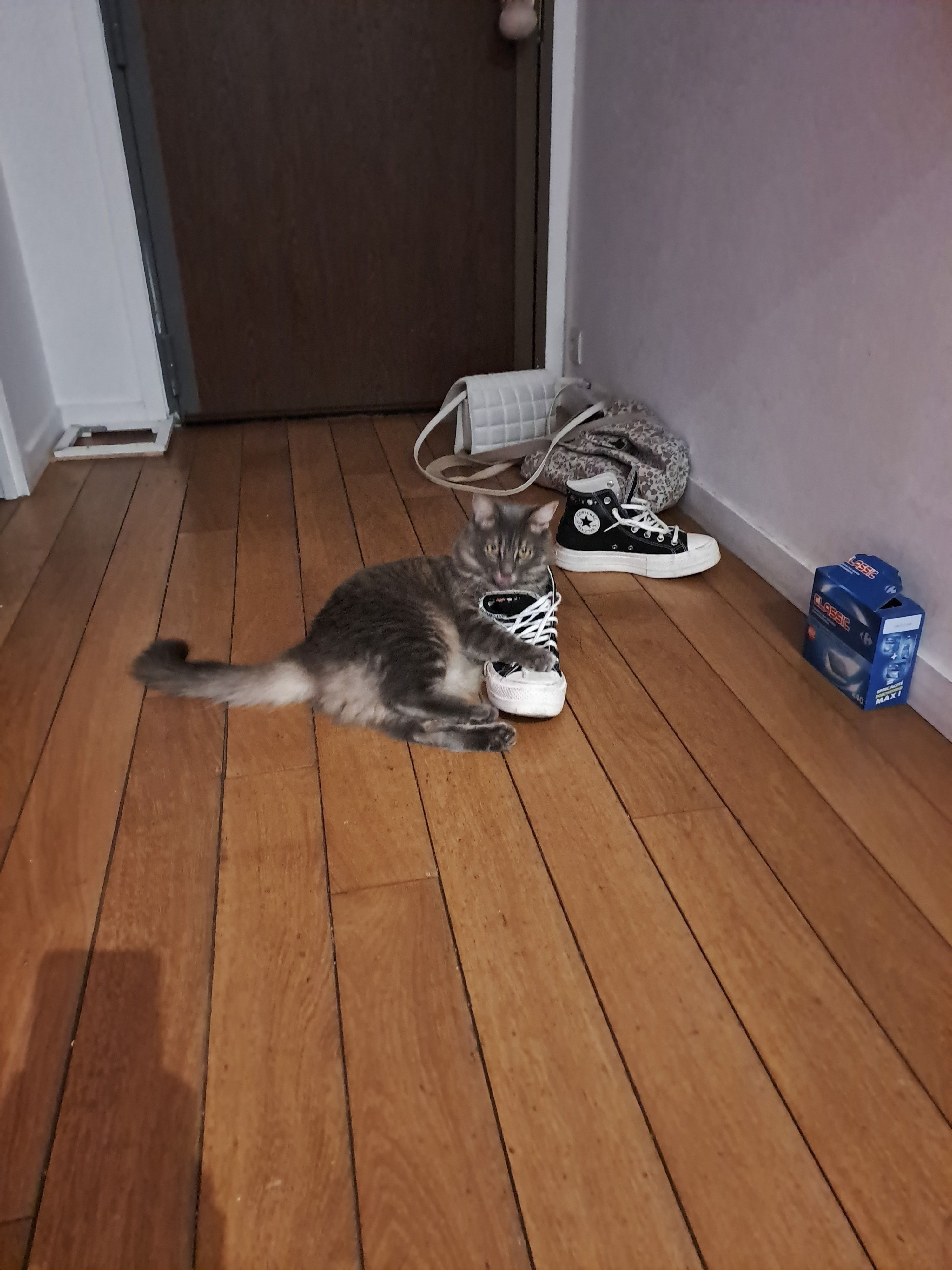 image-5