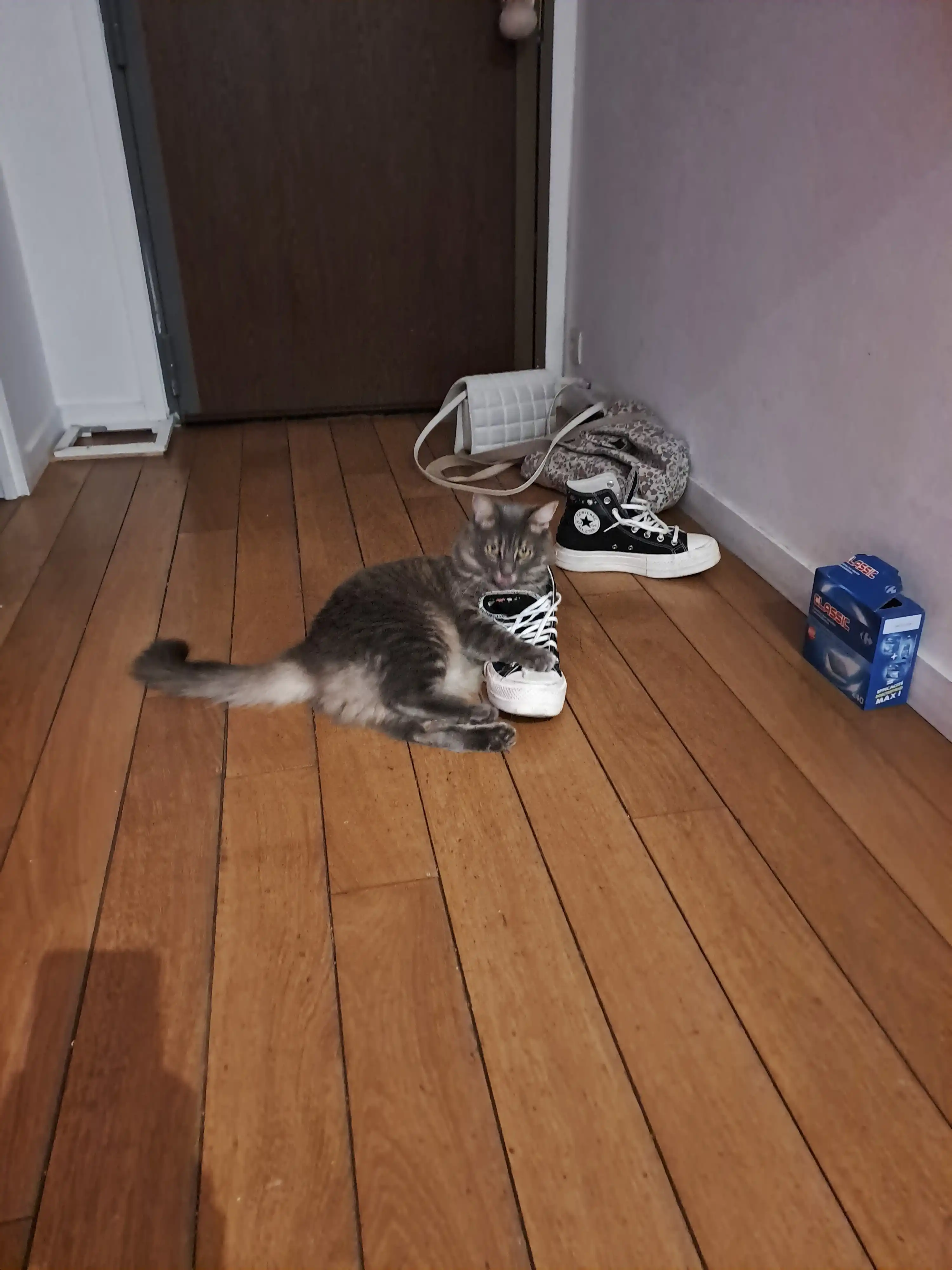 image-5