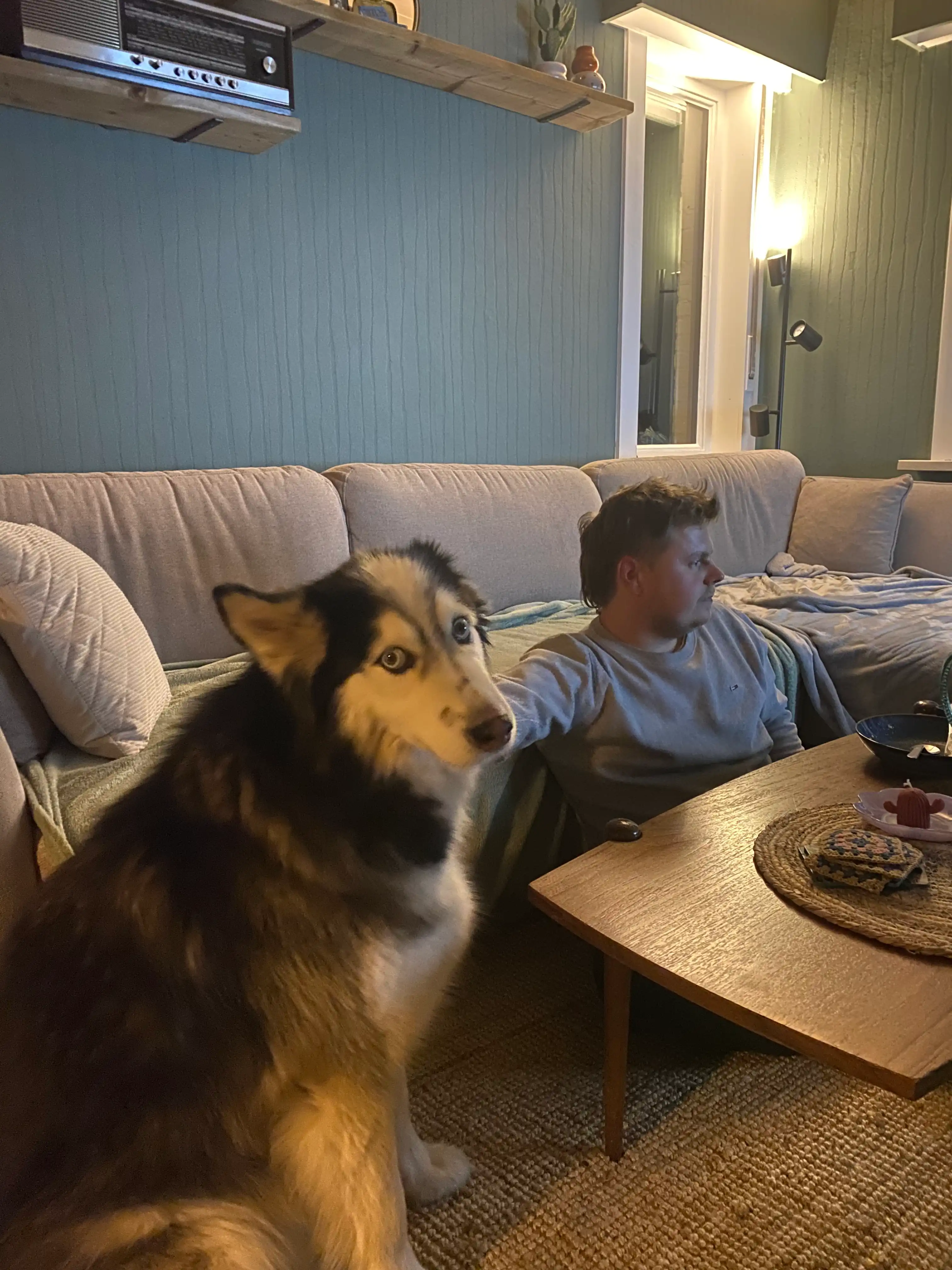 image-8