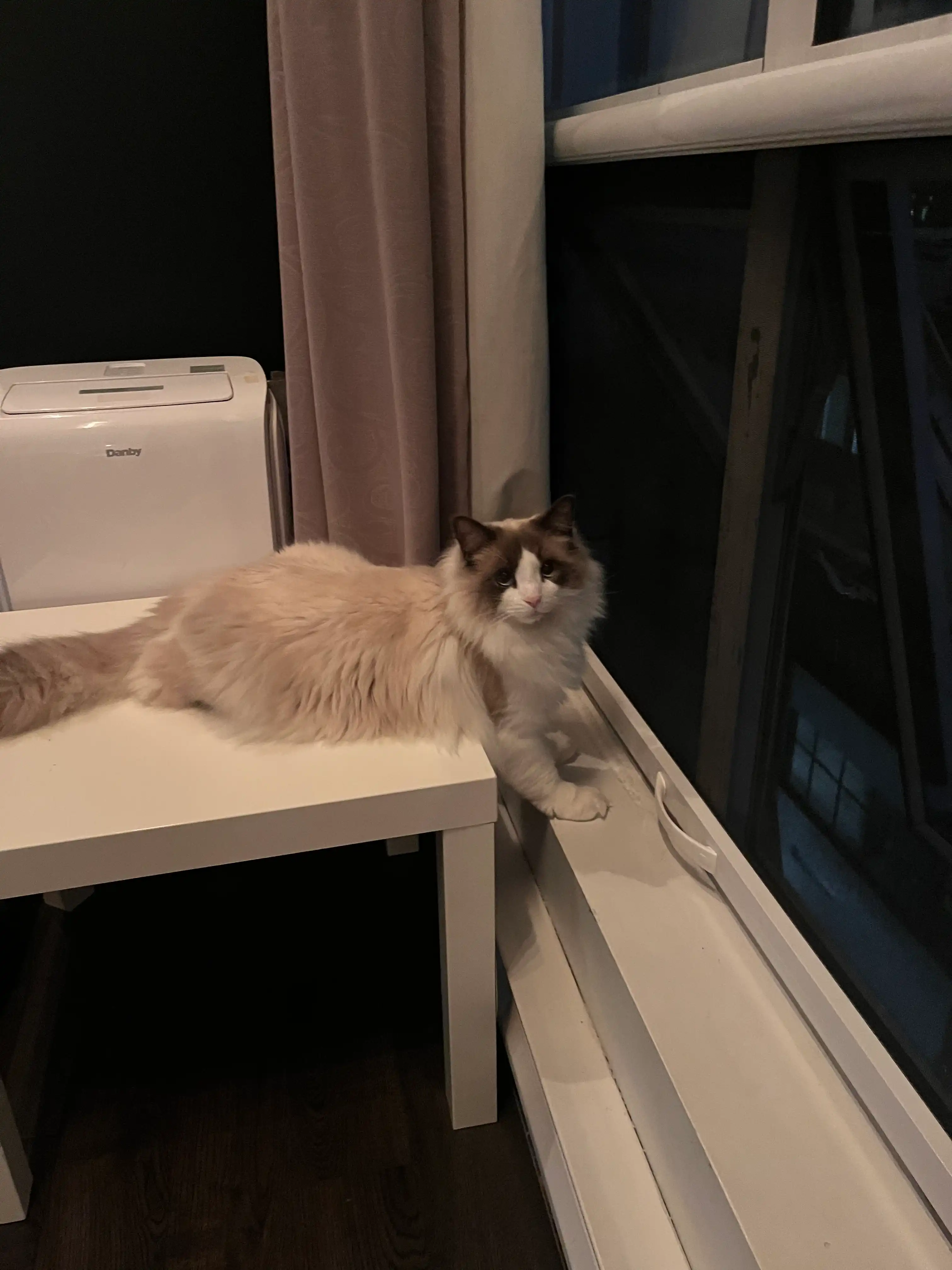 image-10
