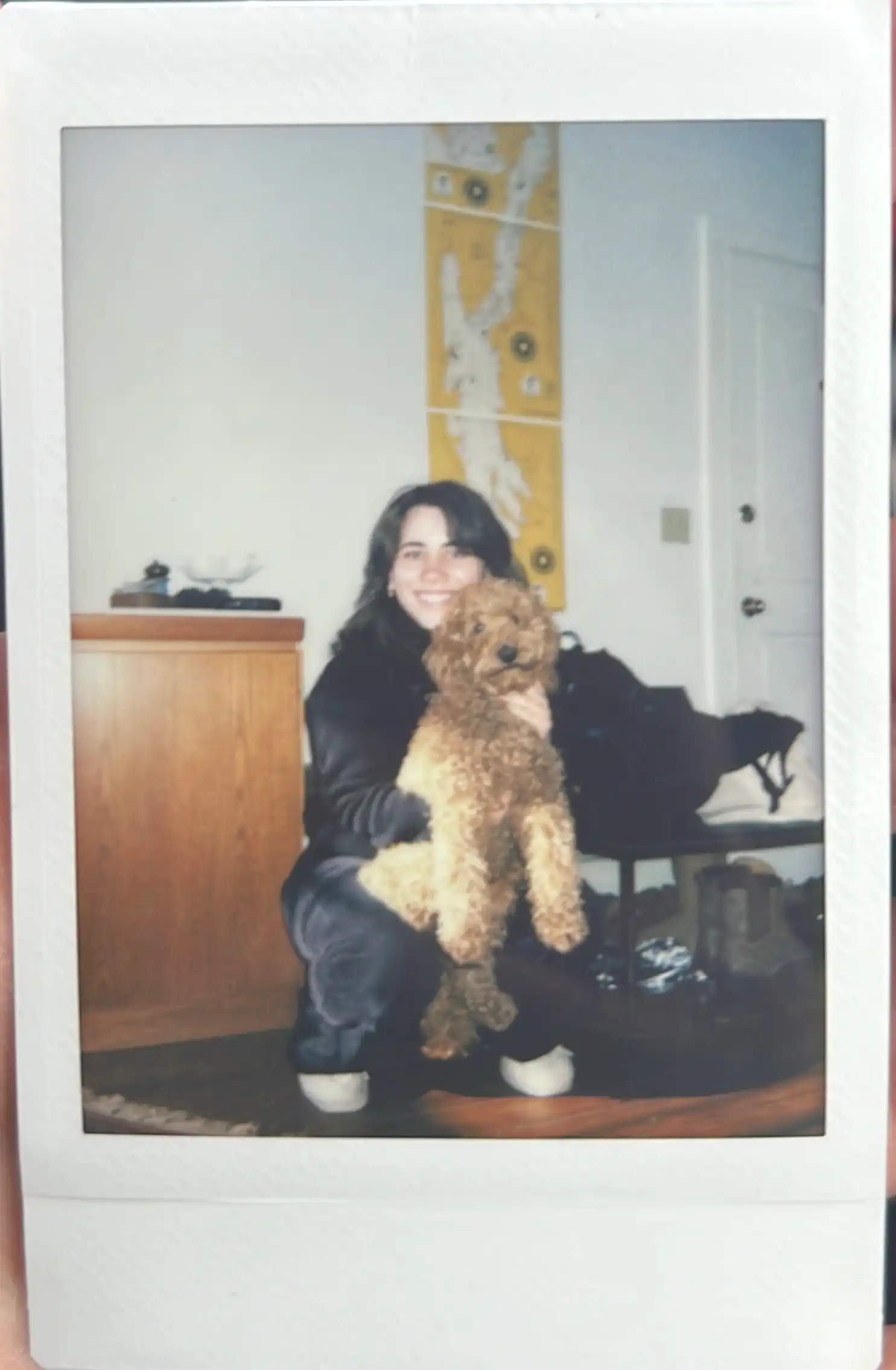 image-7