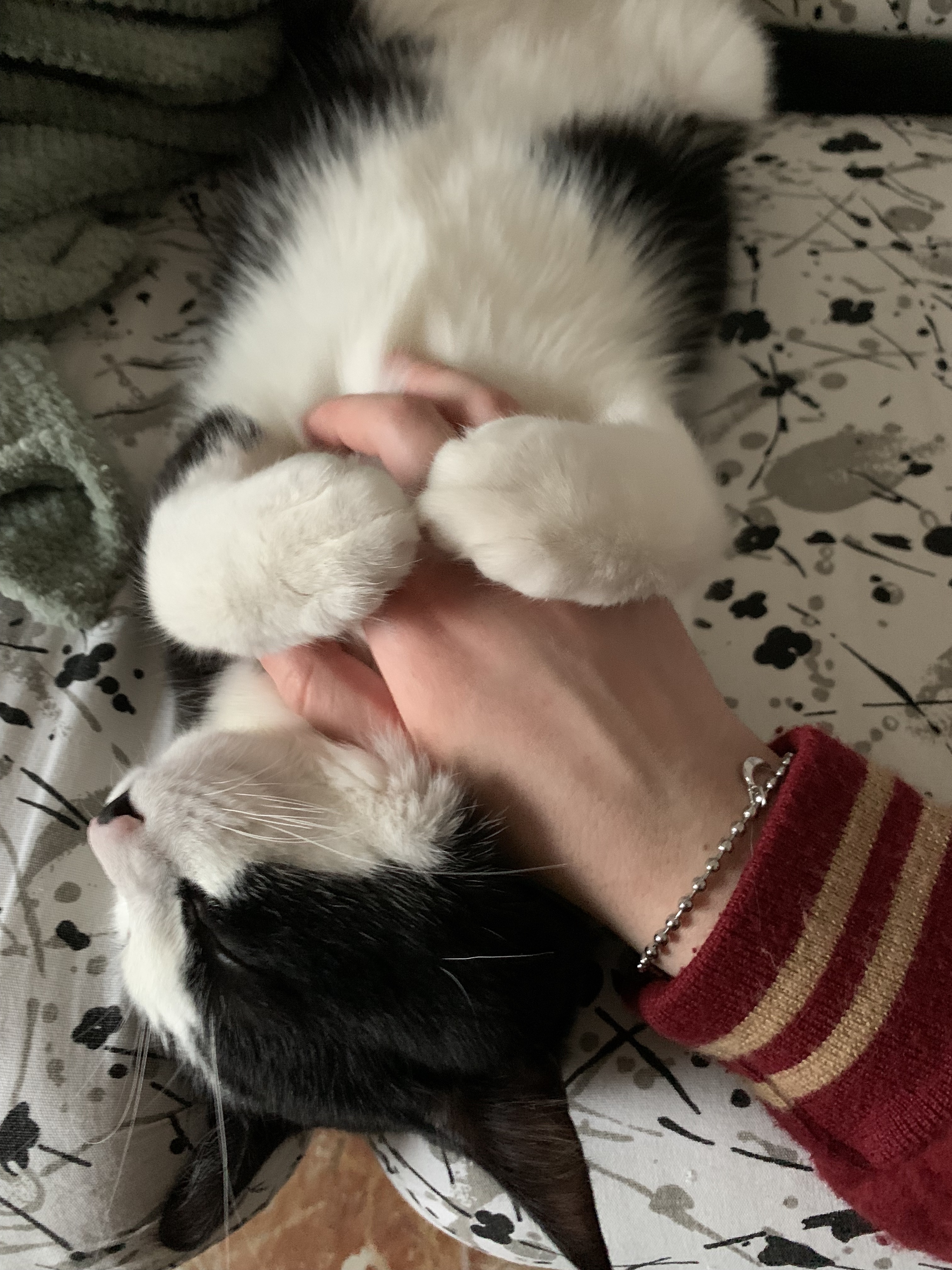 image-9