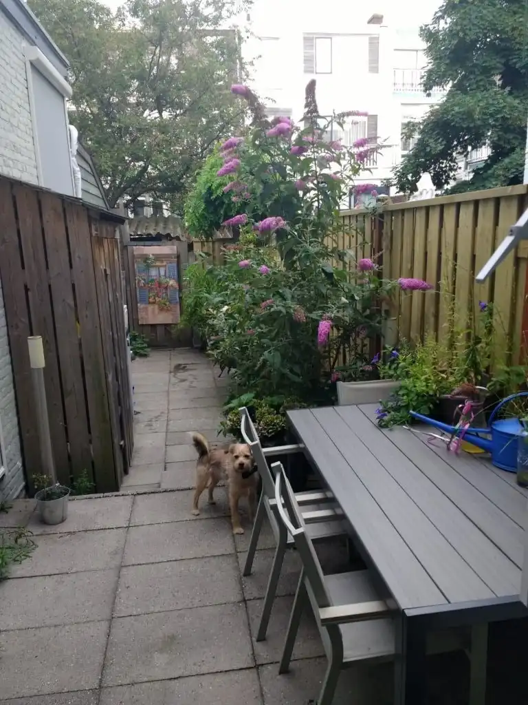 image-18
