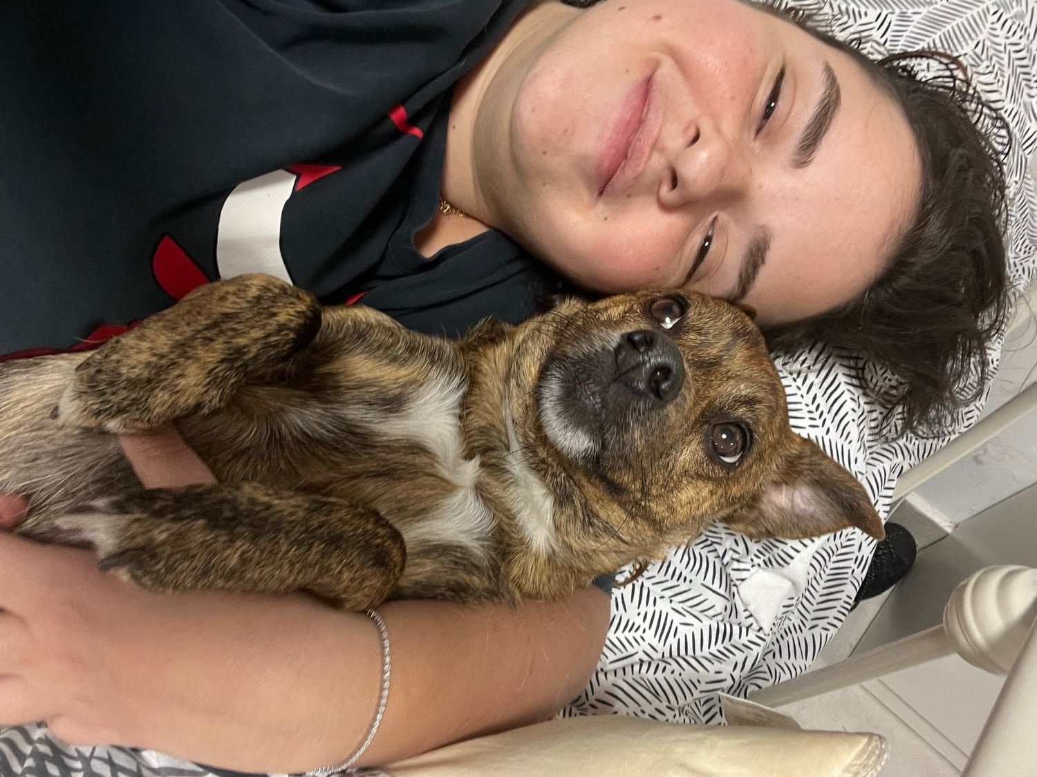 image-8