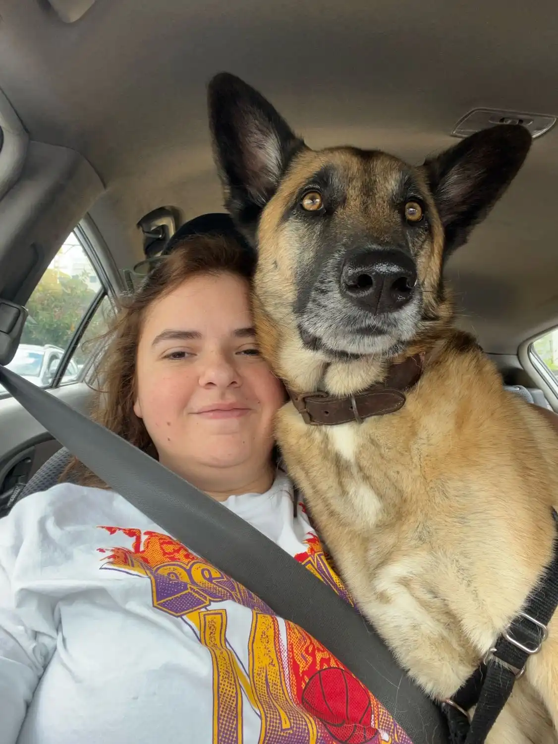 image-6
