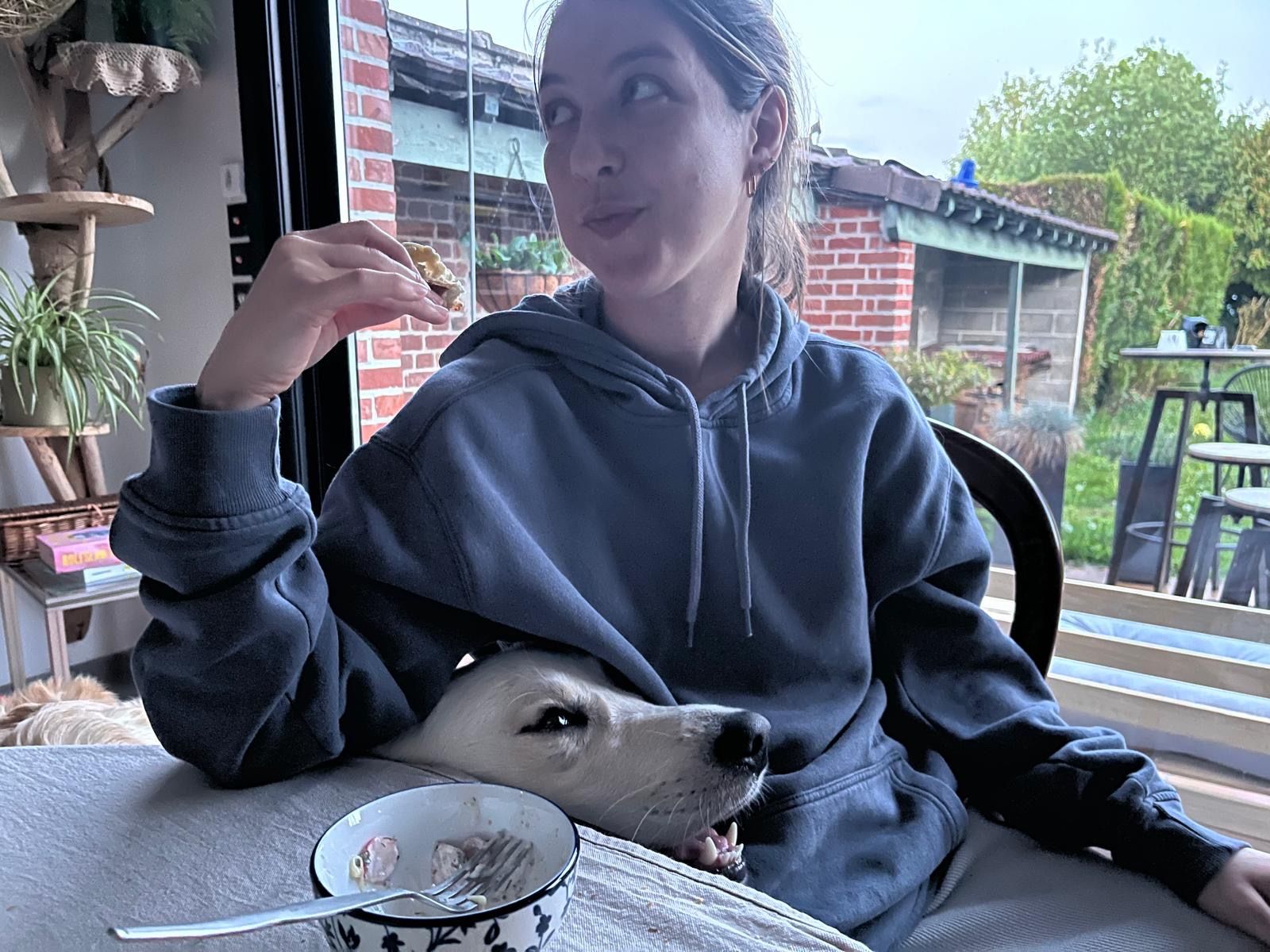 image-6