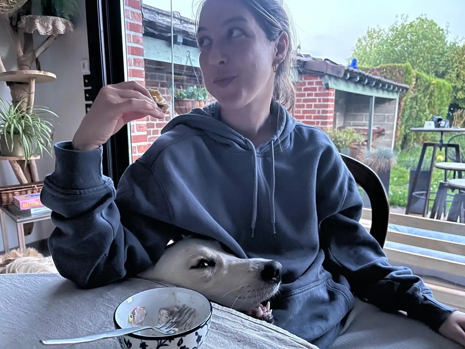 image-6