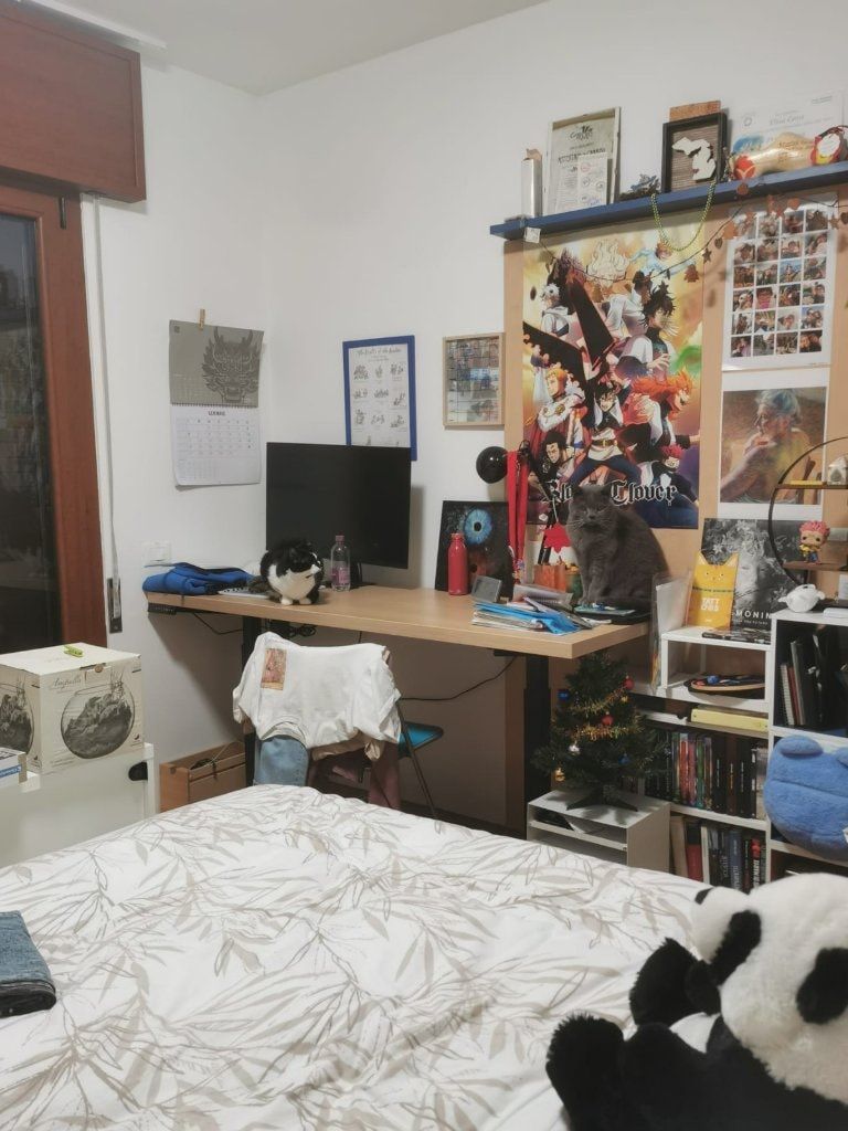 image-9
