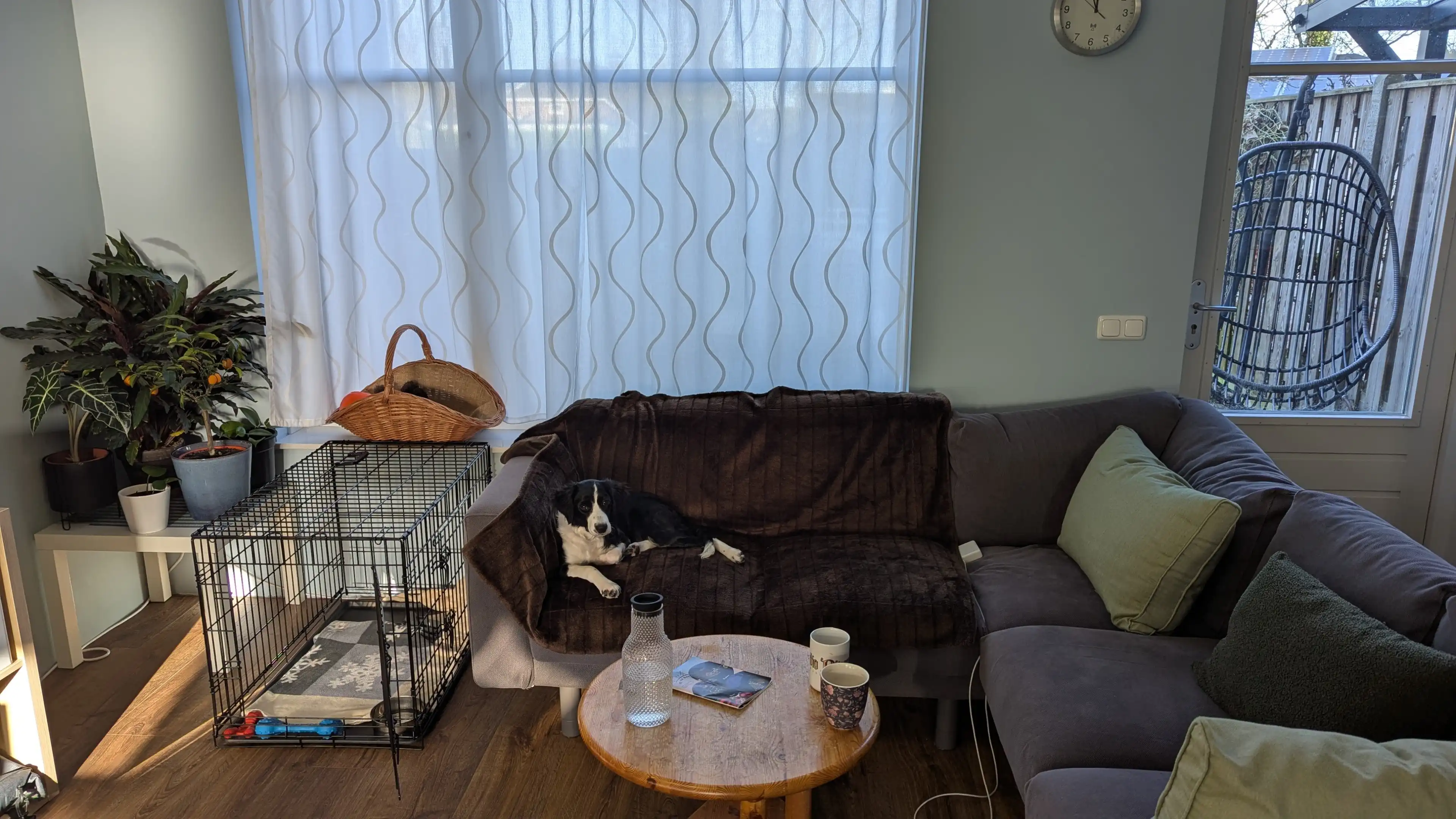 image-7
