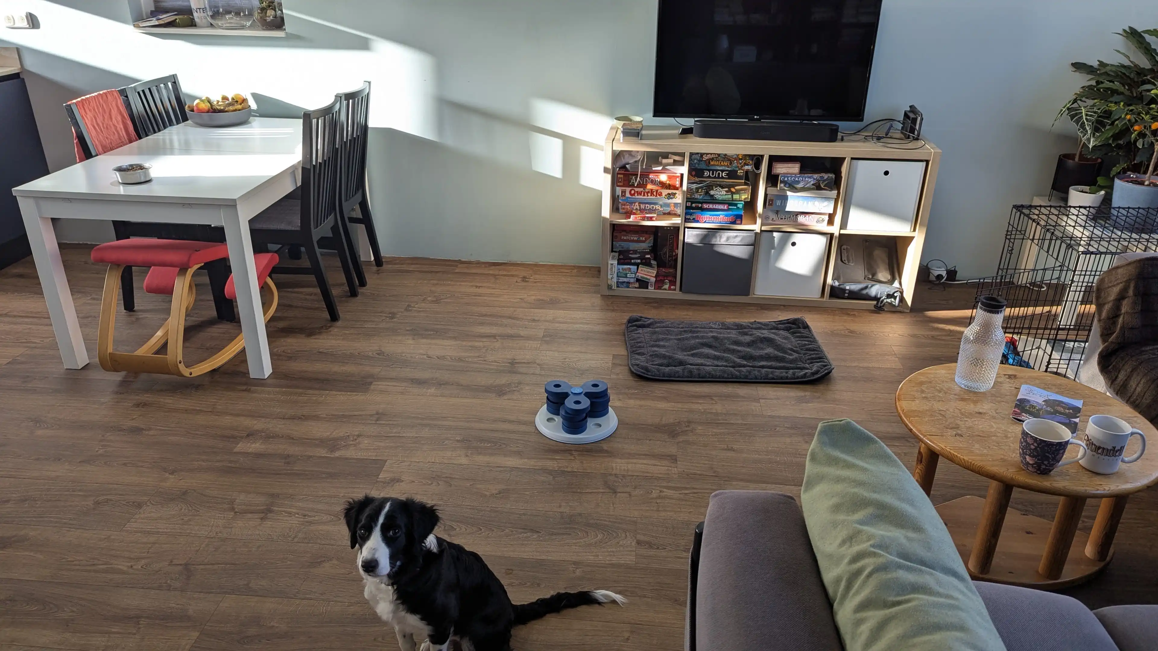 image-5
