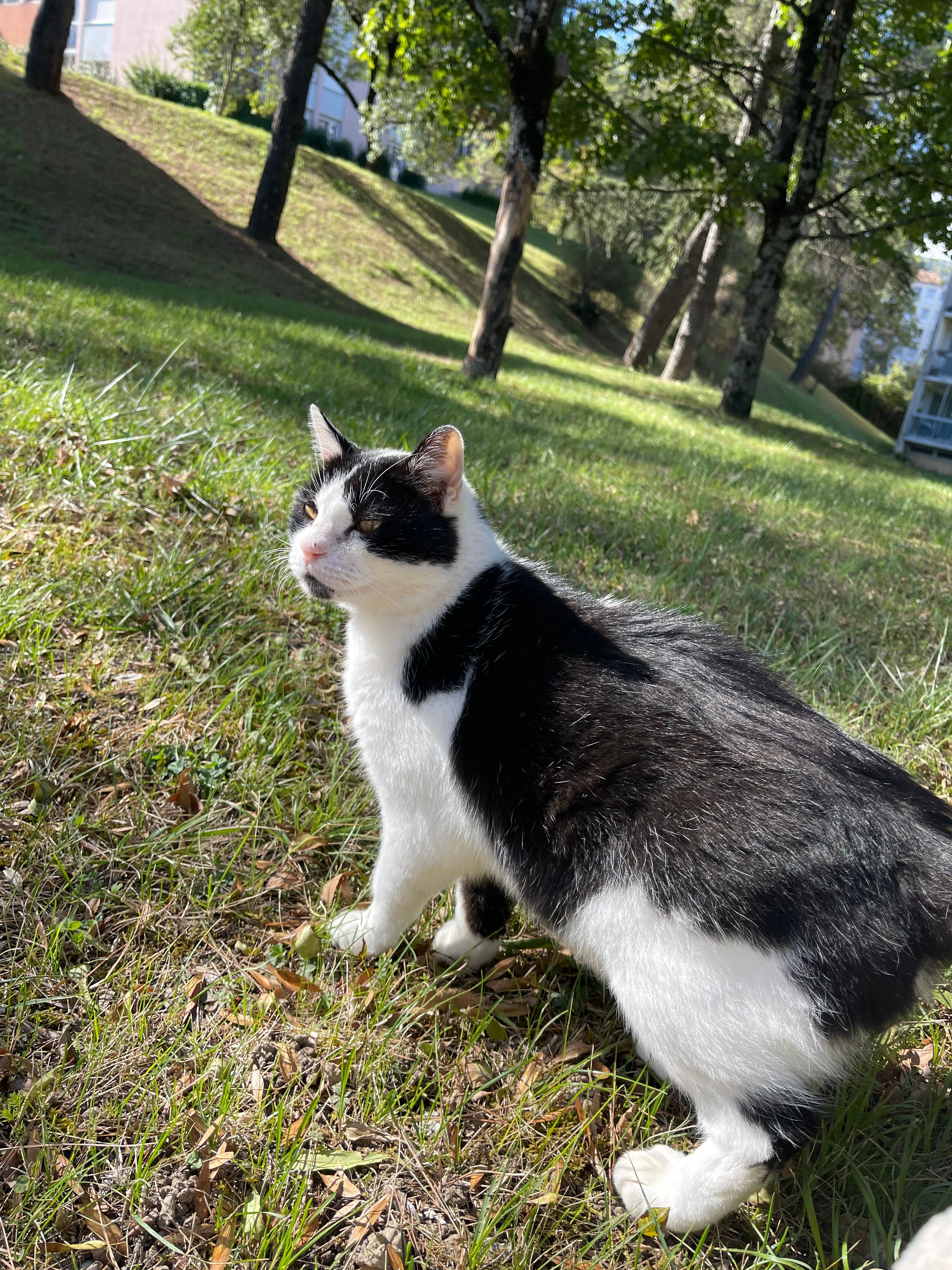 image-11