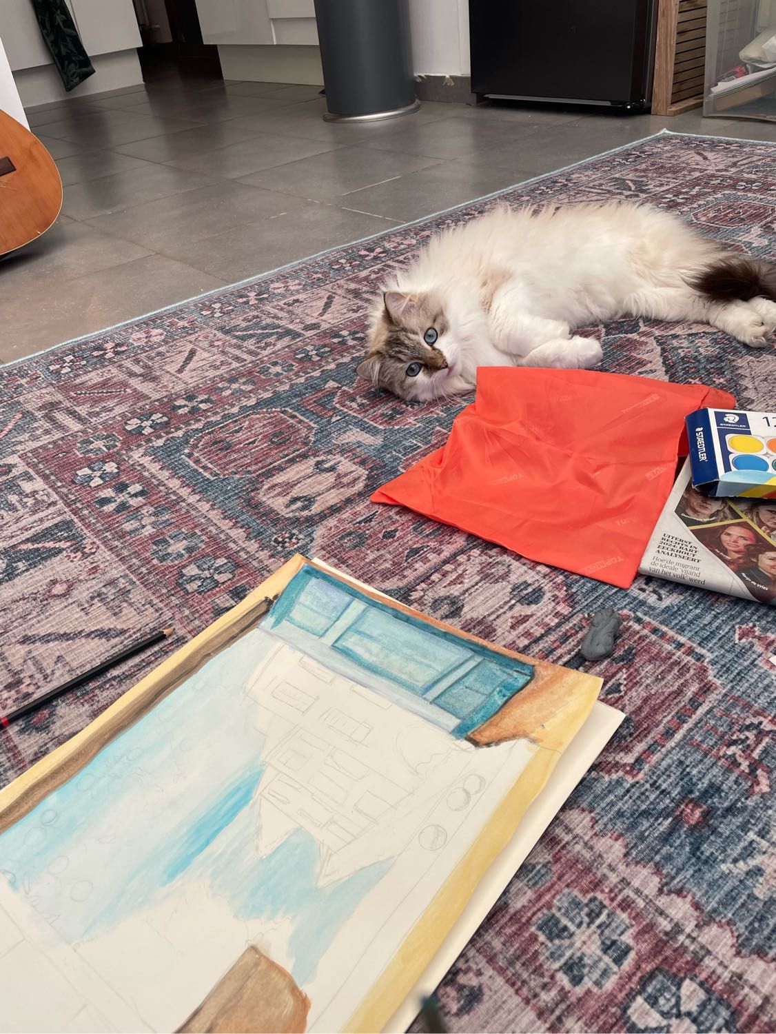 image-6