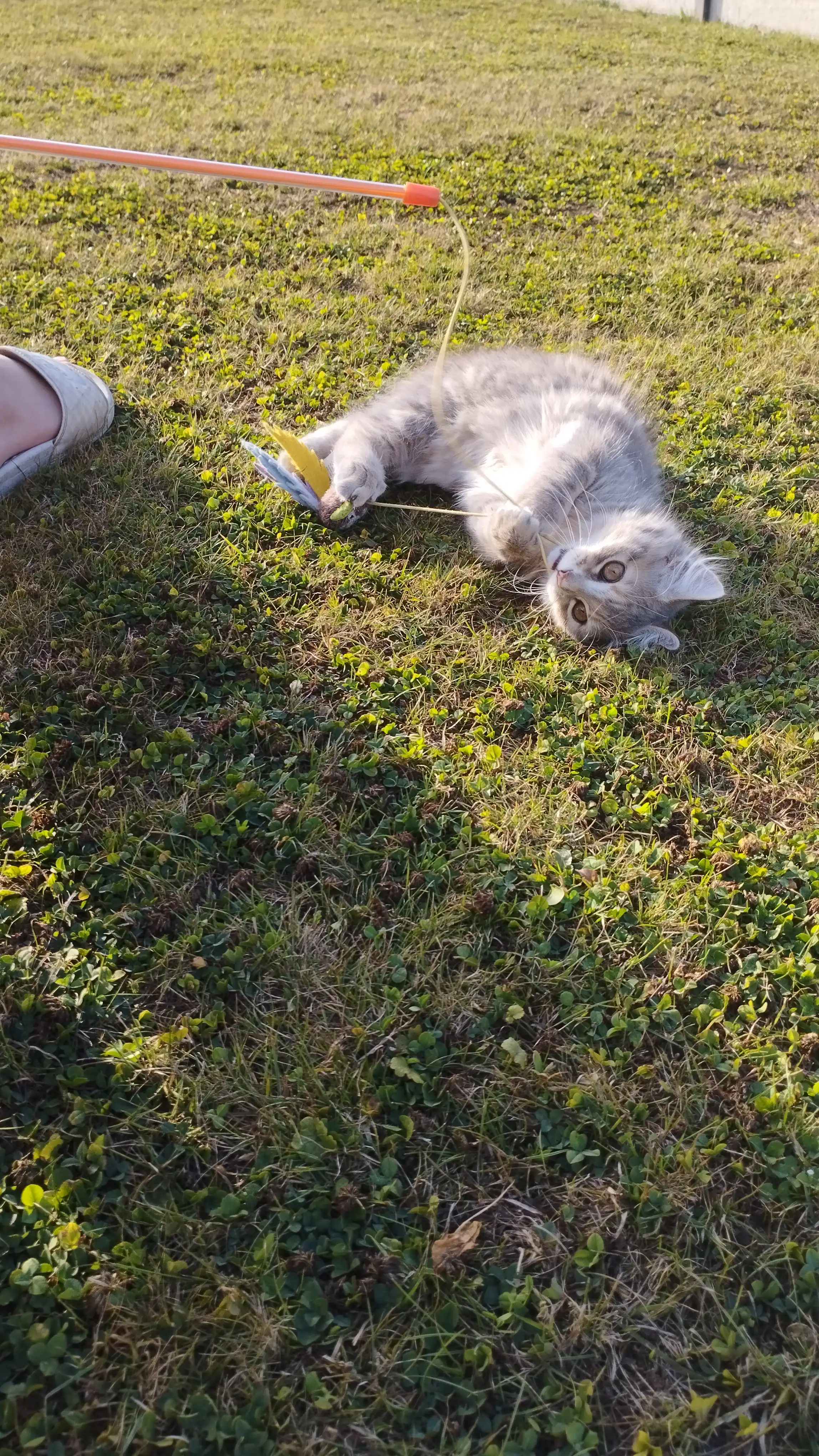 image-6