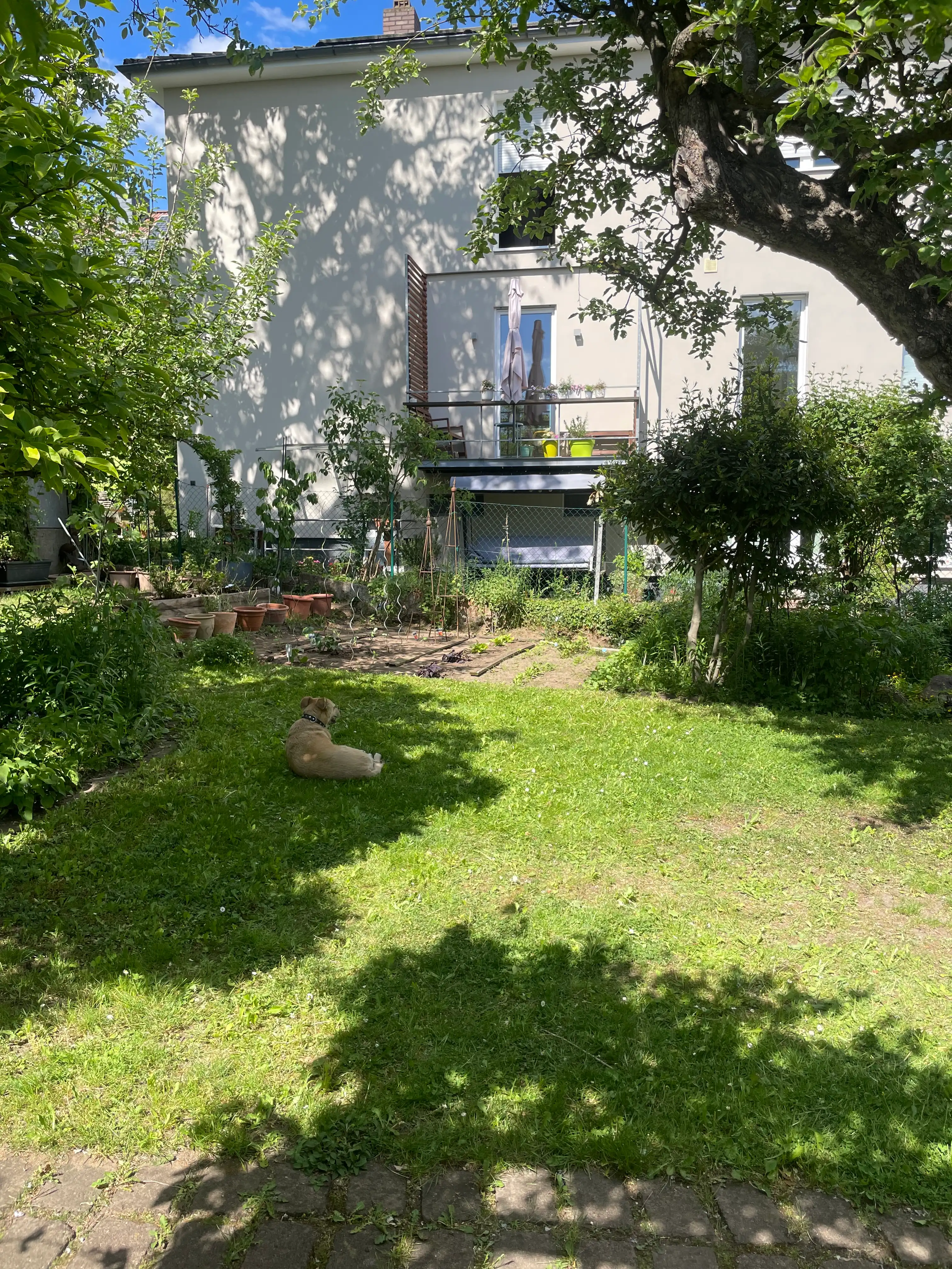 image-18