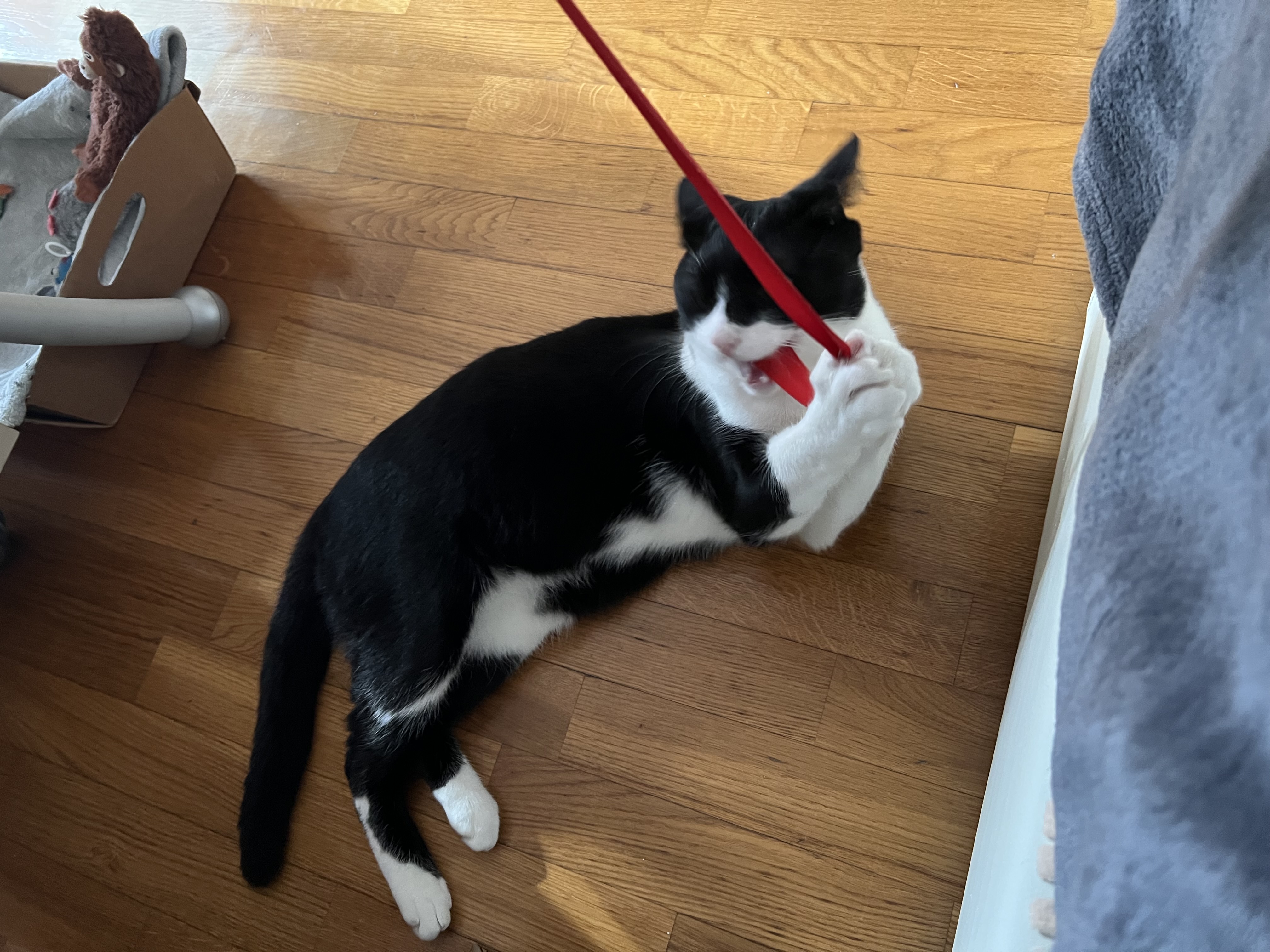 image-13