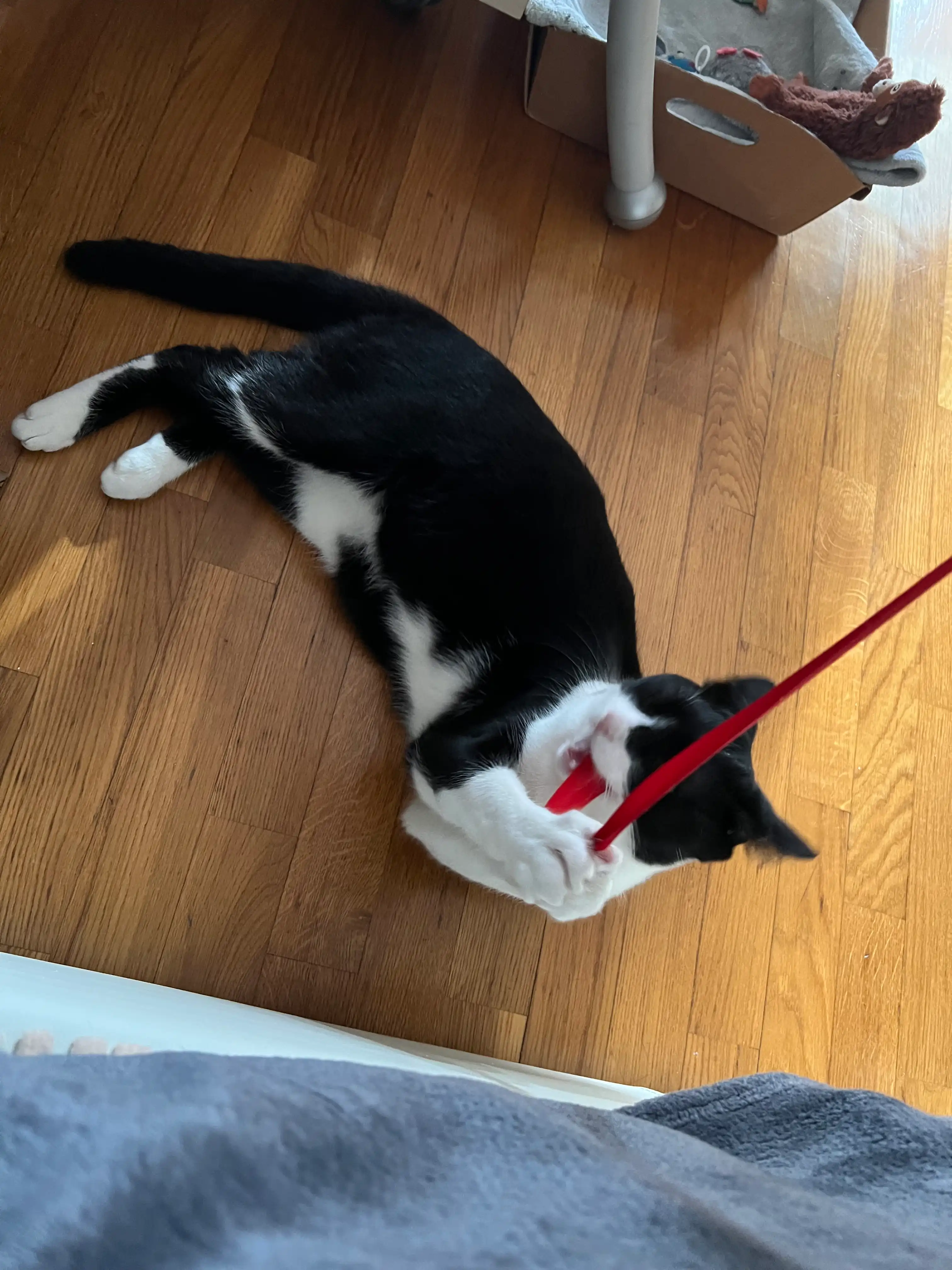 image-13