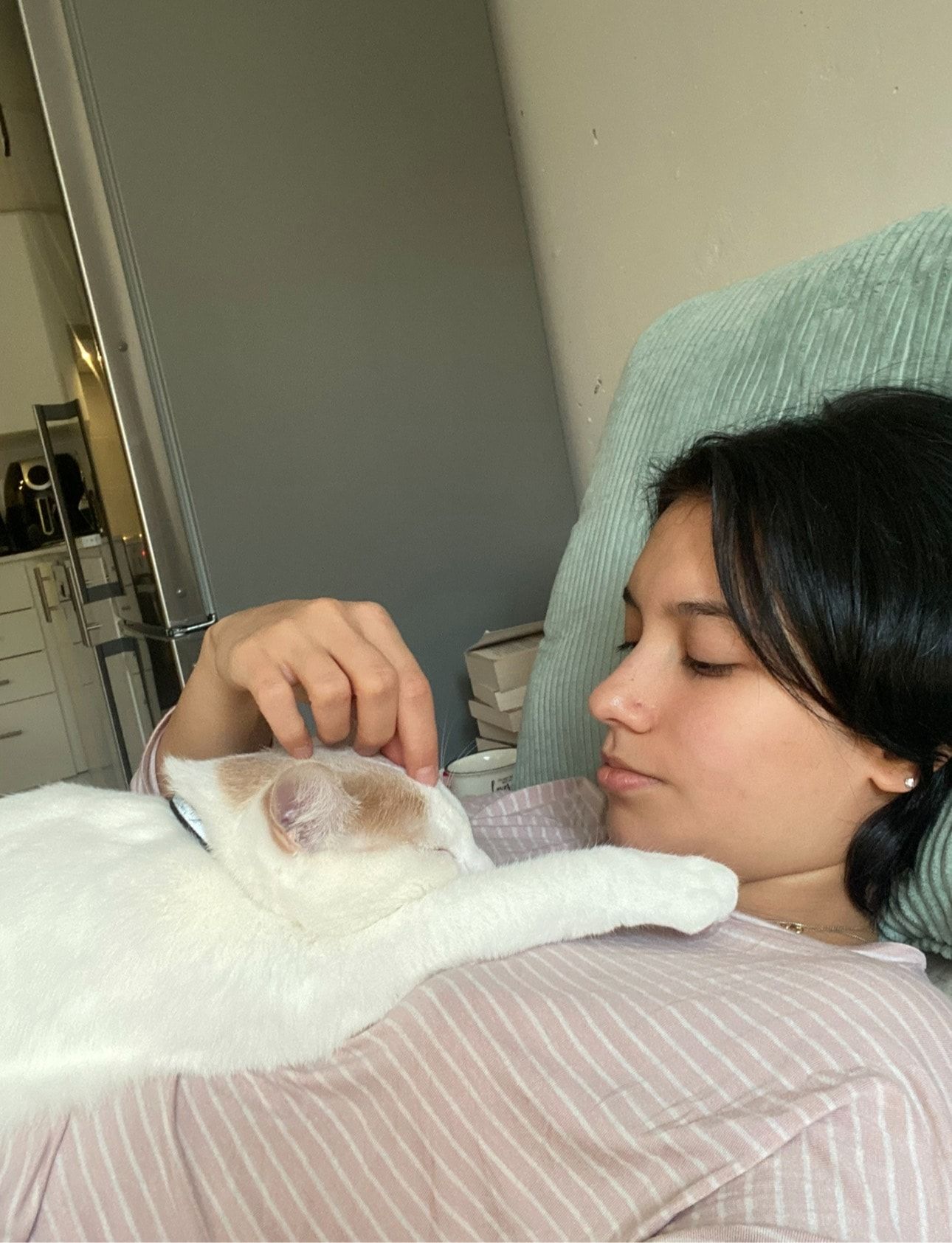 image-7