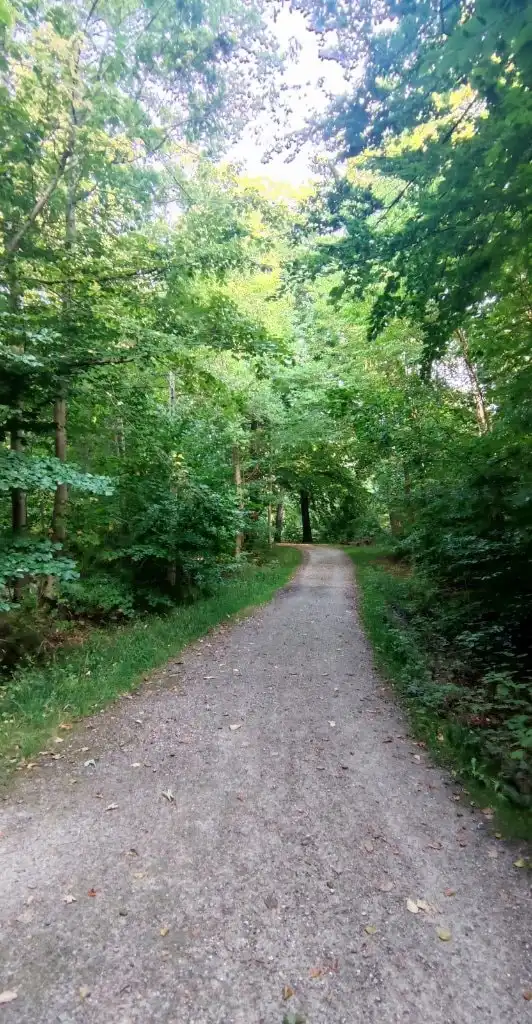 image-14