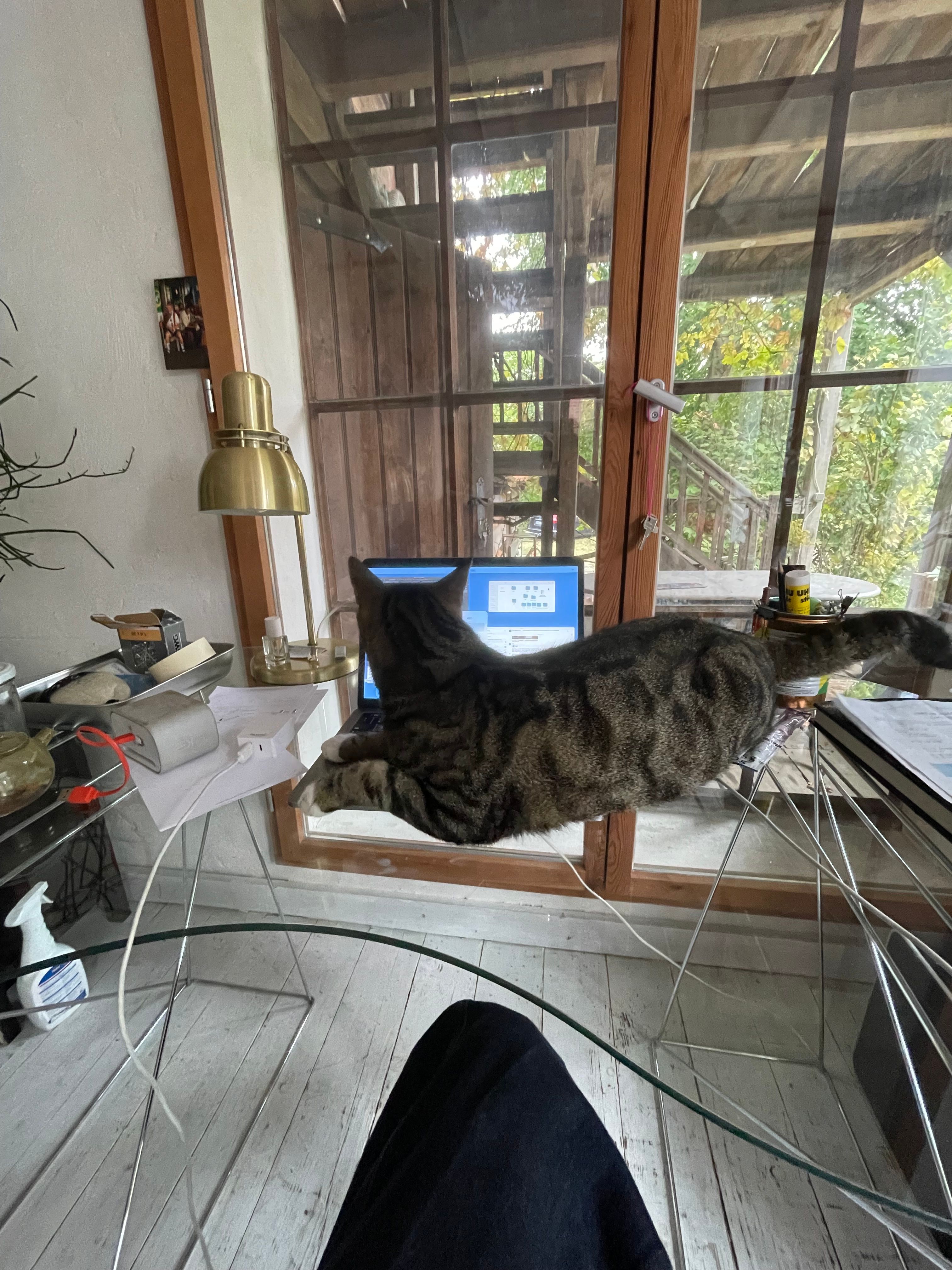 image-6
